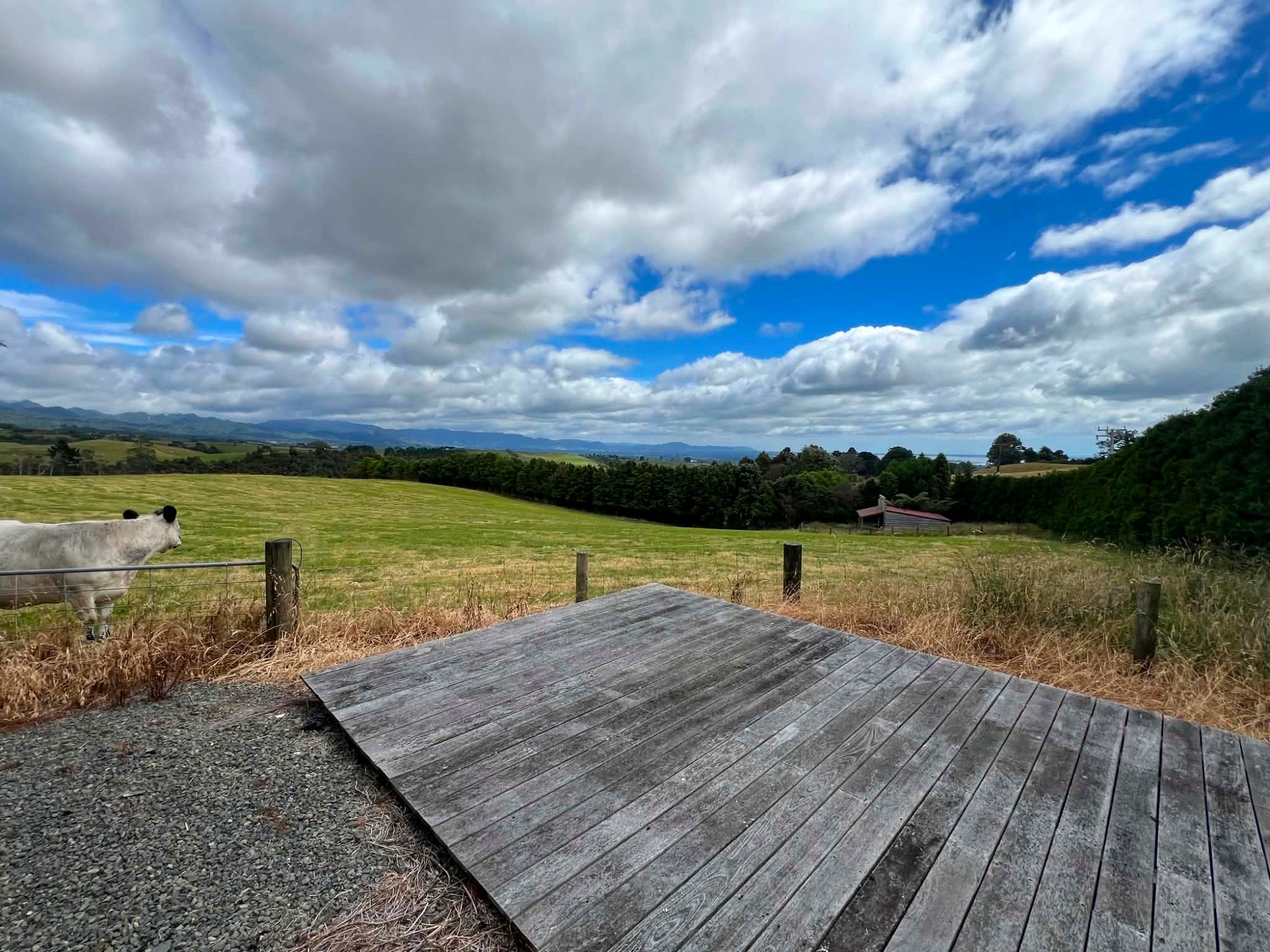 Kaimai View