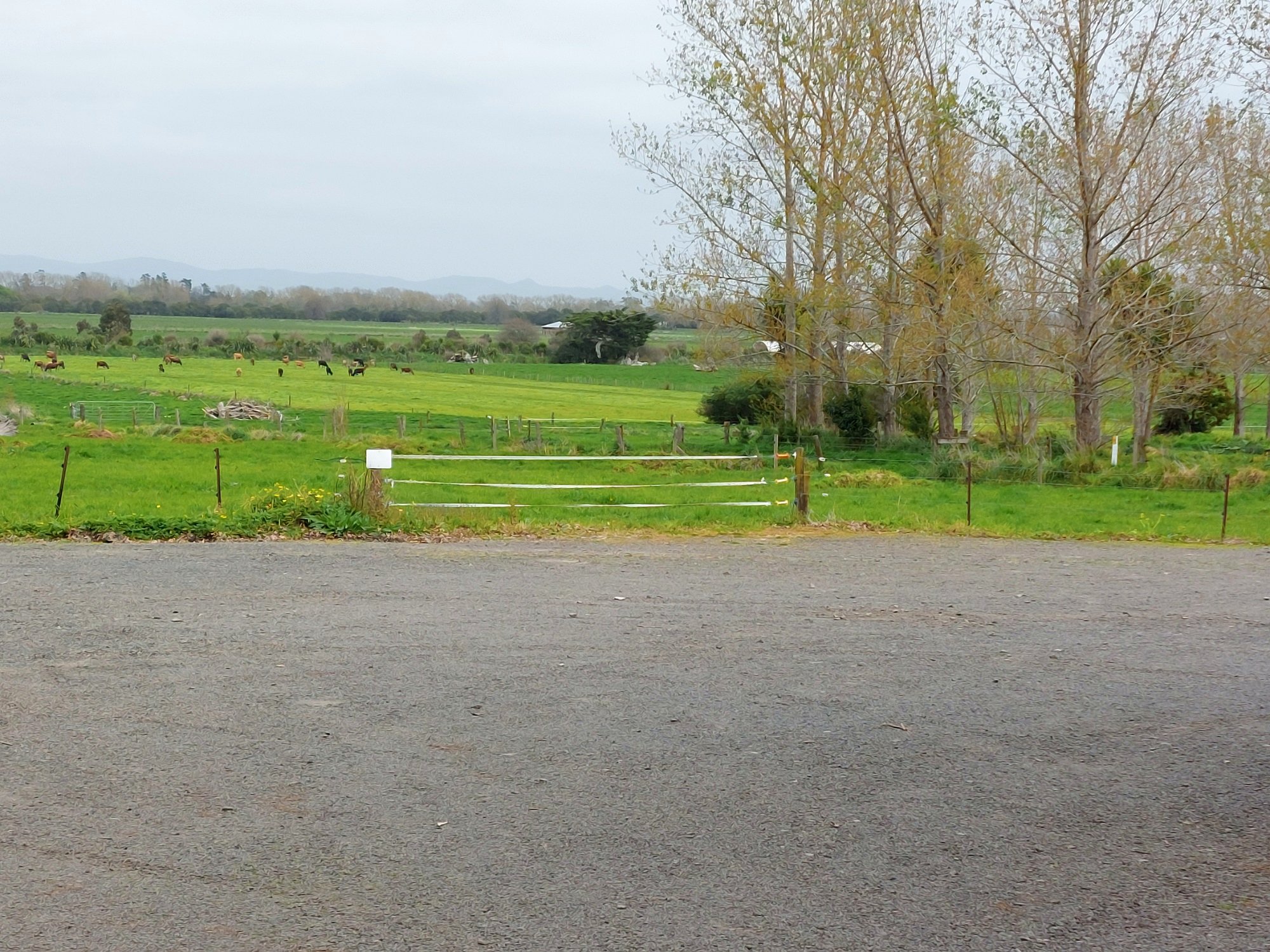 Carpark next to our cheese factory/cafe