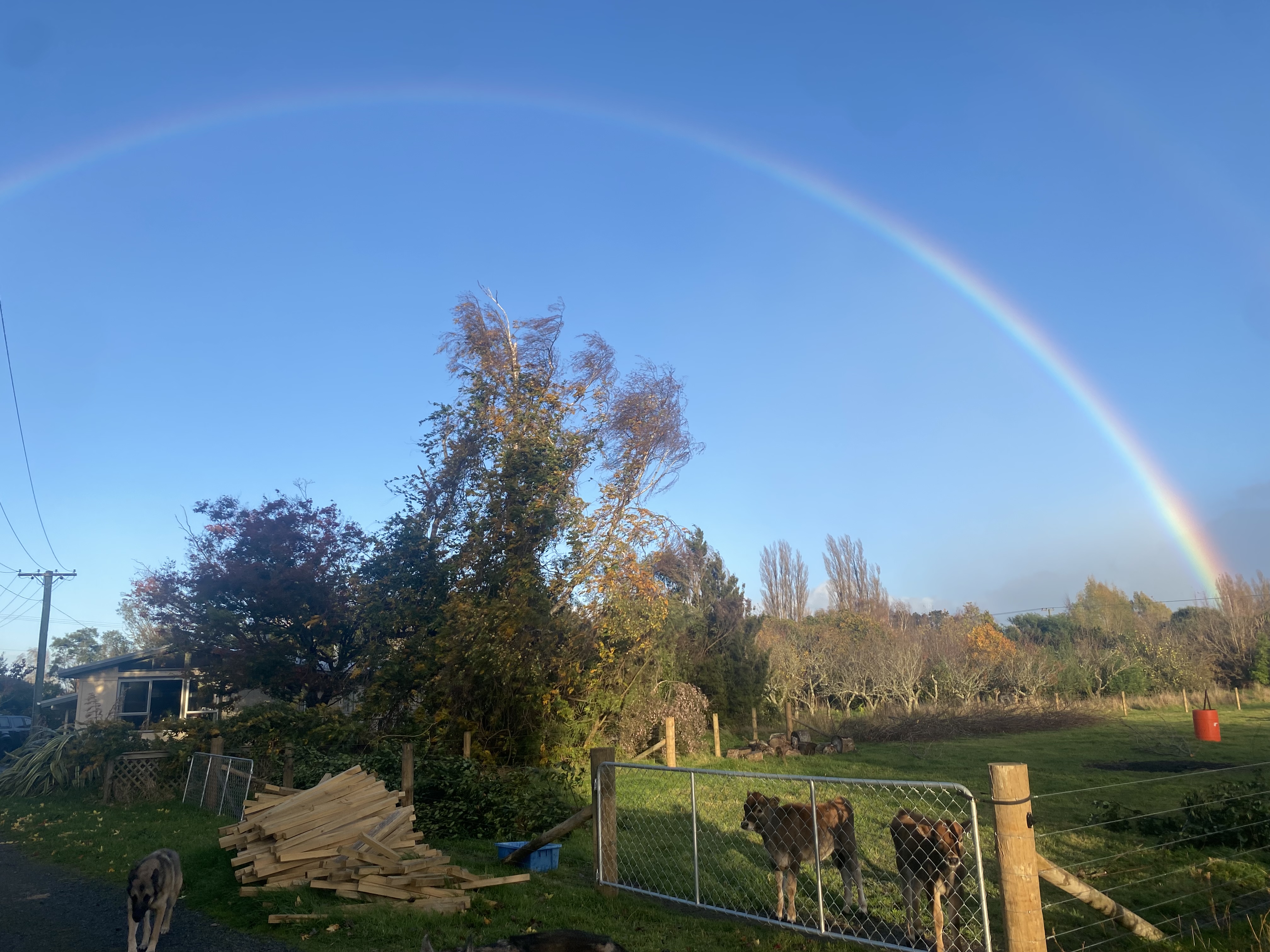 Farm stay near town
