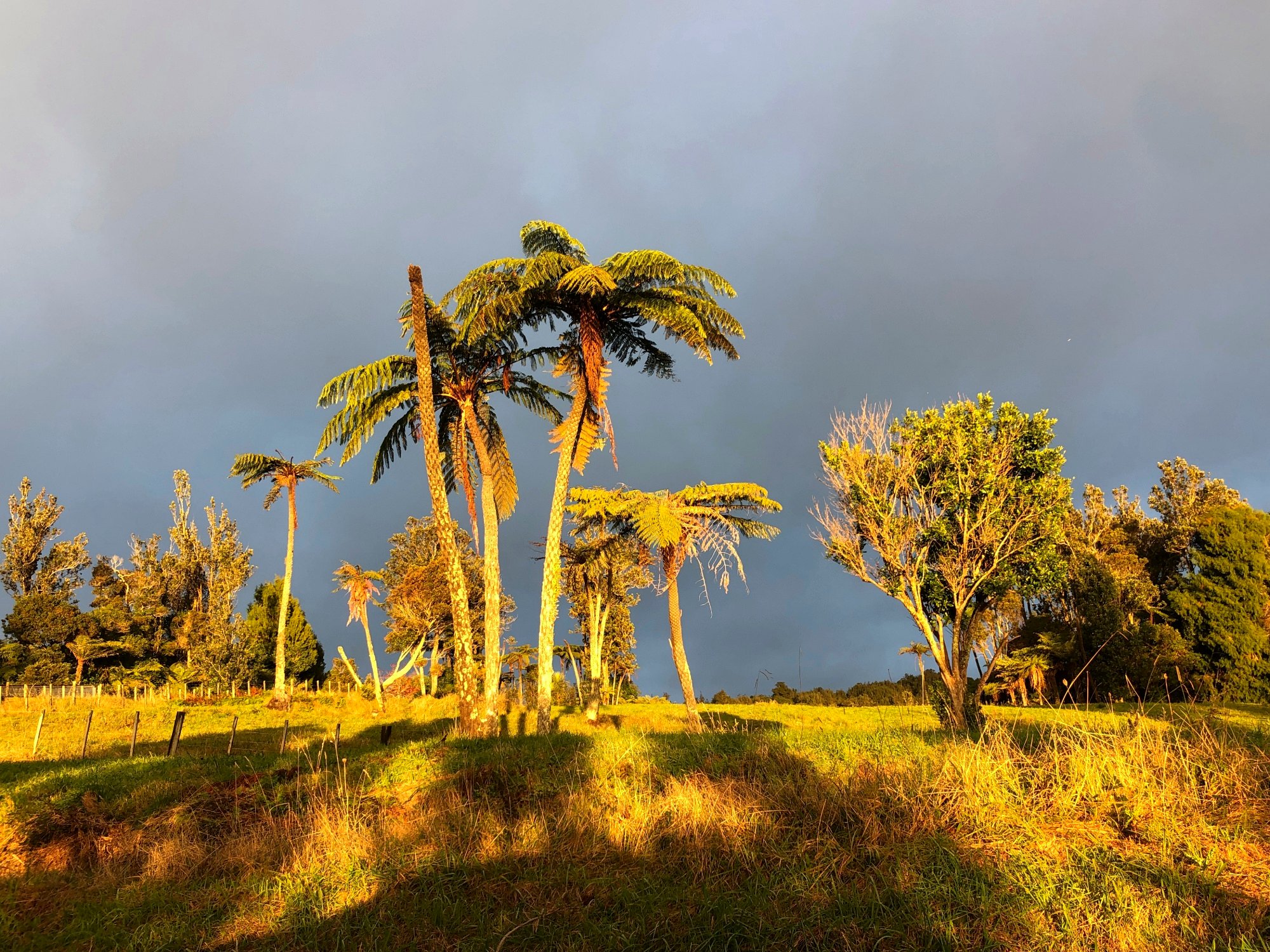 Peaceful Mountain & Ocean Views photo 3