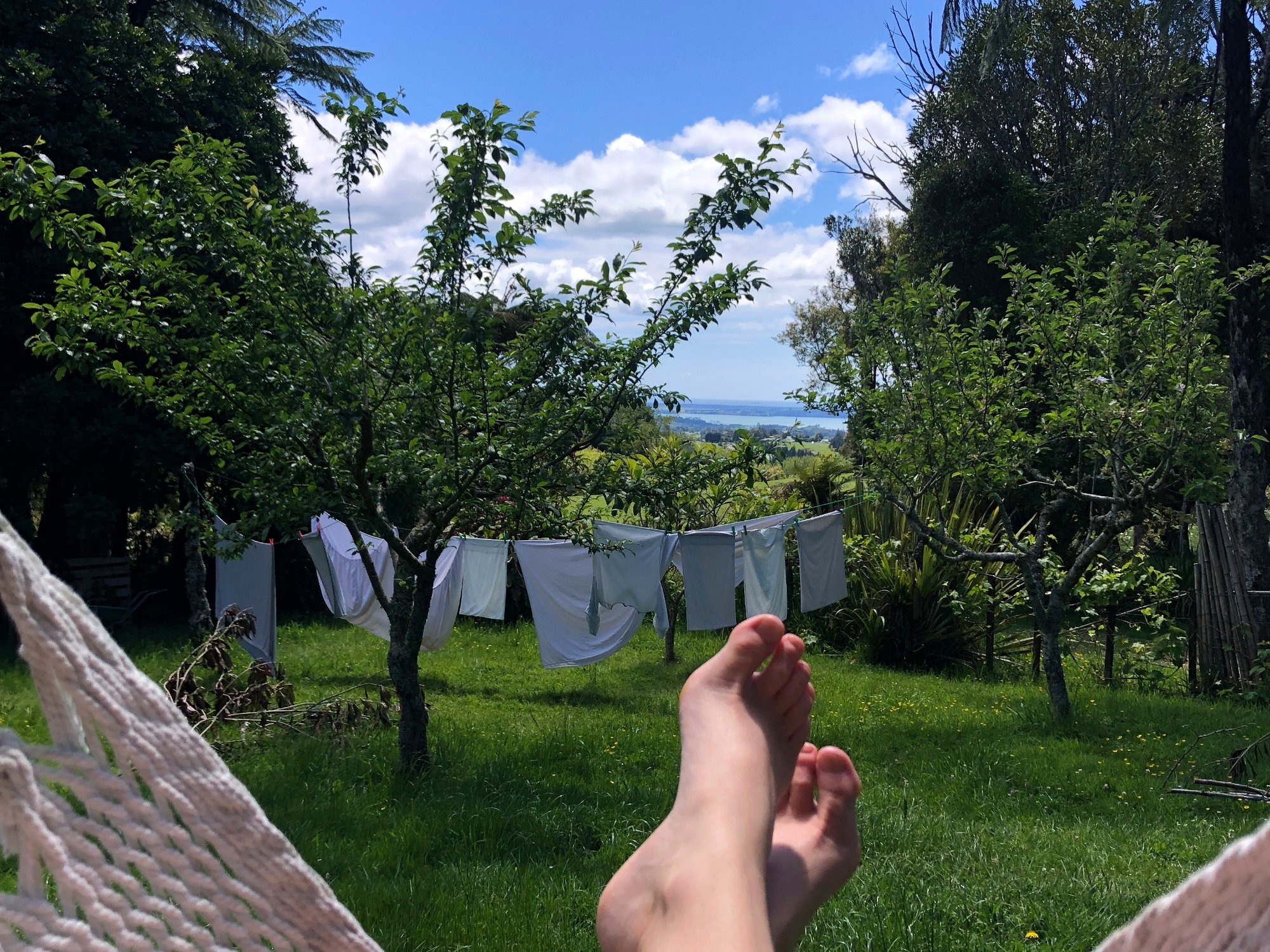 Peaceful Mountain & Ocean Views photo 2