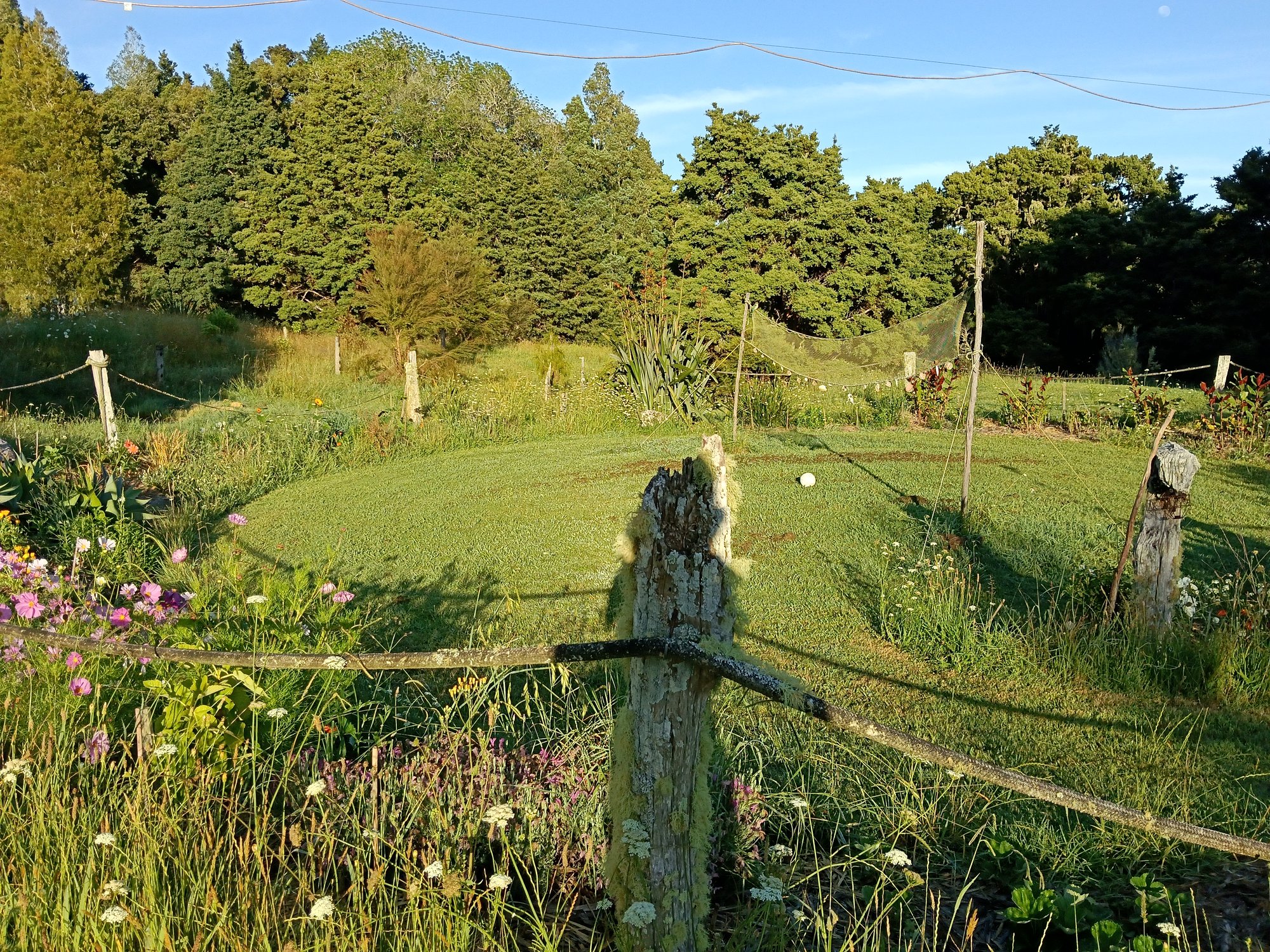 Down to earth NZ - Eco-sustainable mini farm living