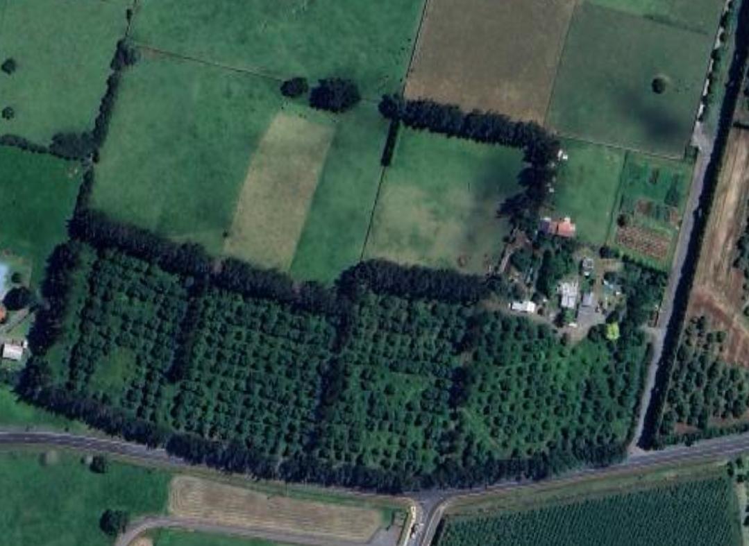 Family Farm In Maungatapere photo 2