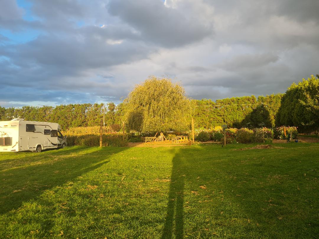 Family Farm In Maungatapere photo 3