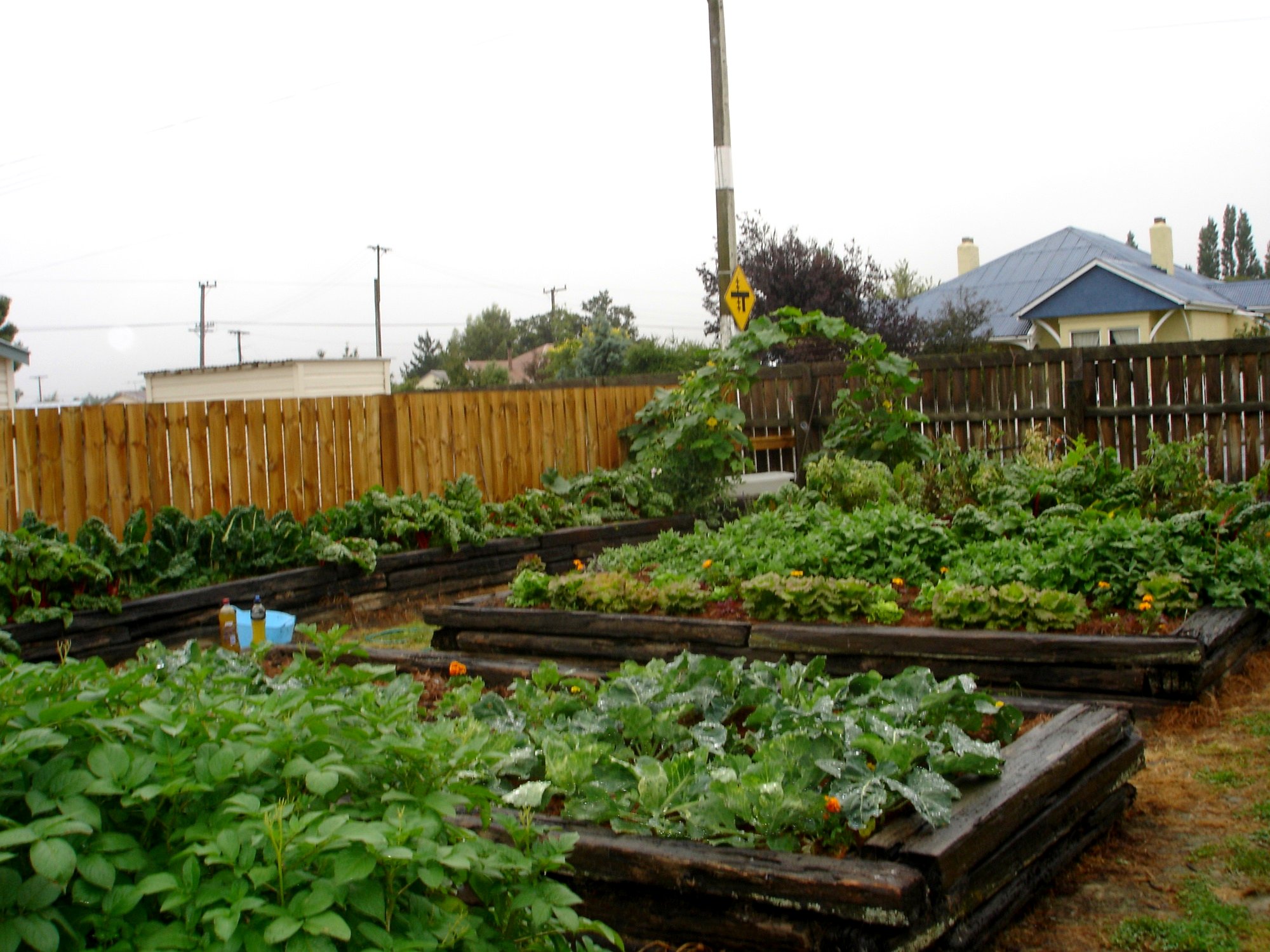 Quiet township photo 3