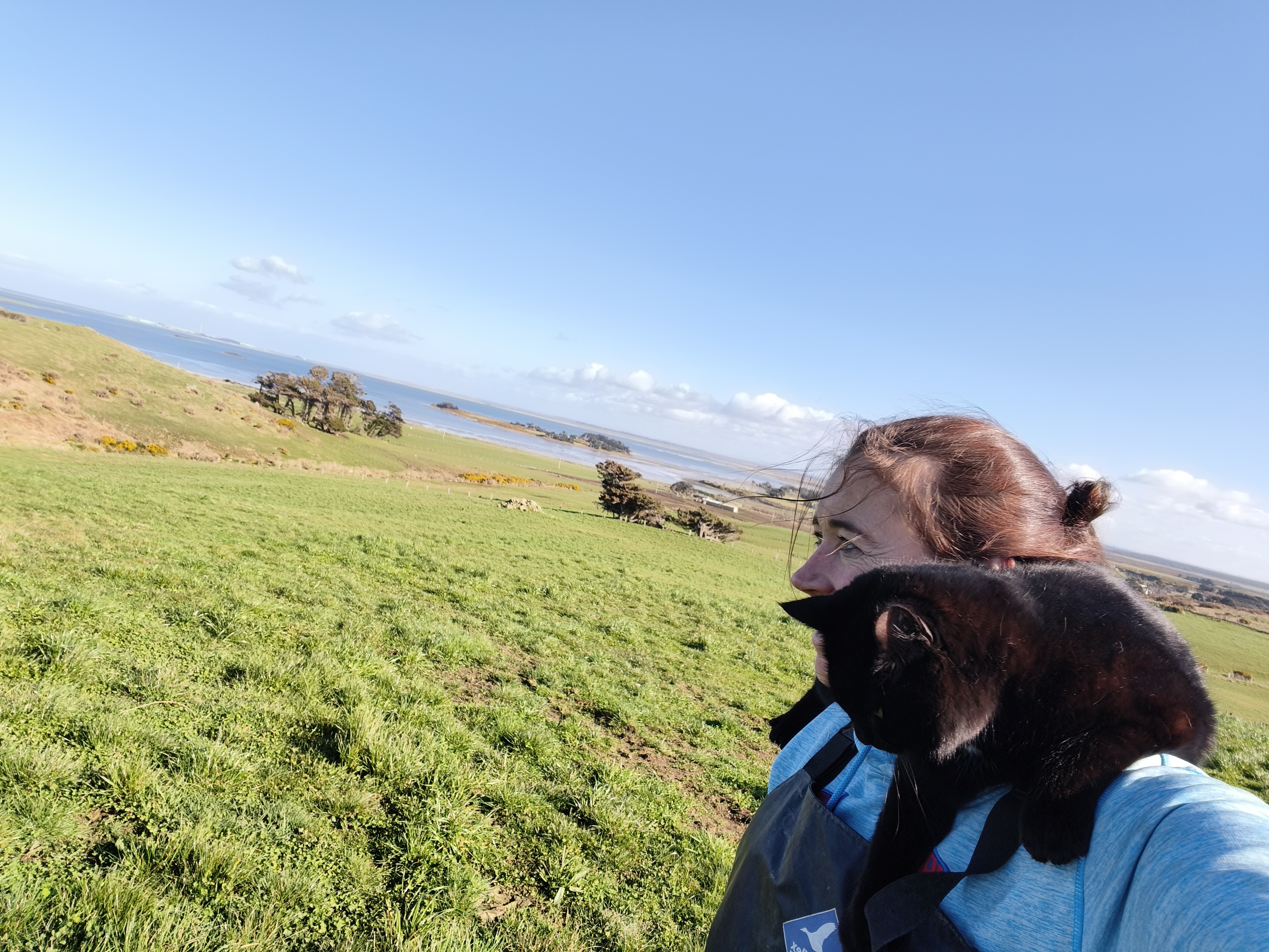 Expansive views and lots of space photo 1