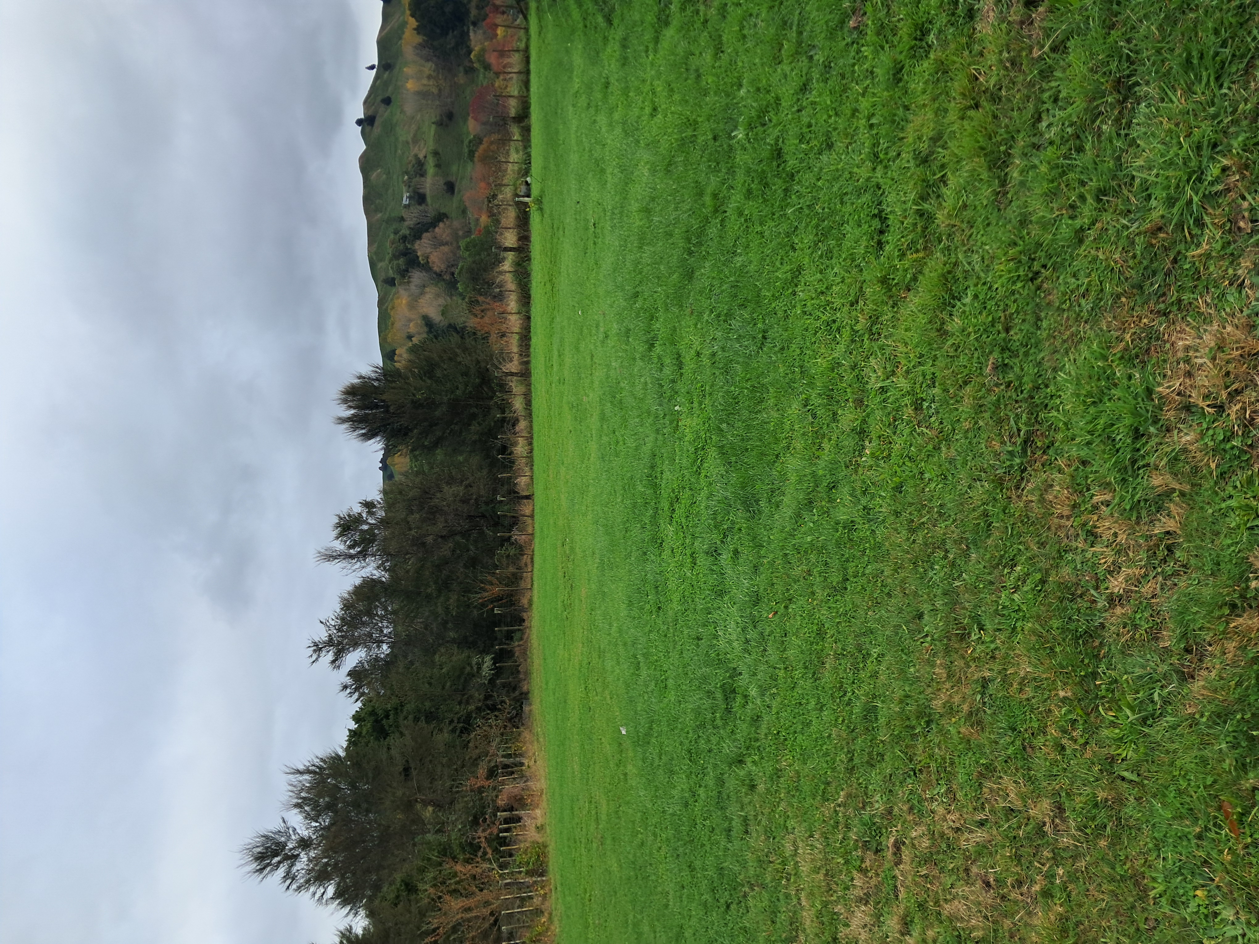 River Retreat, Taumarunui photo 1