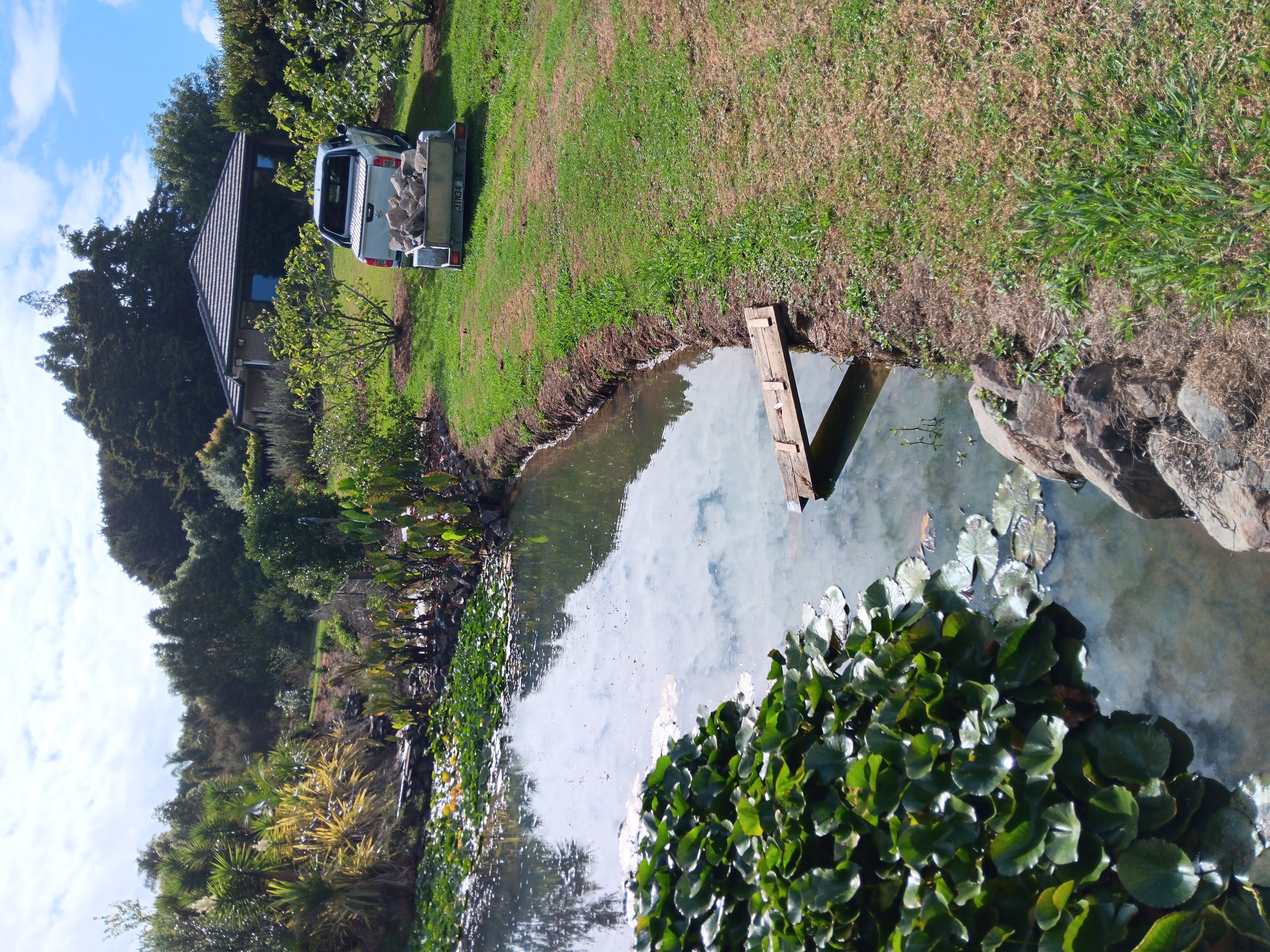 Private and secluded grass parking spot photo 2