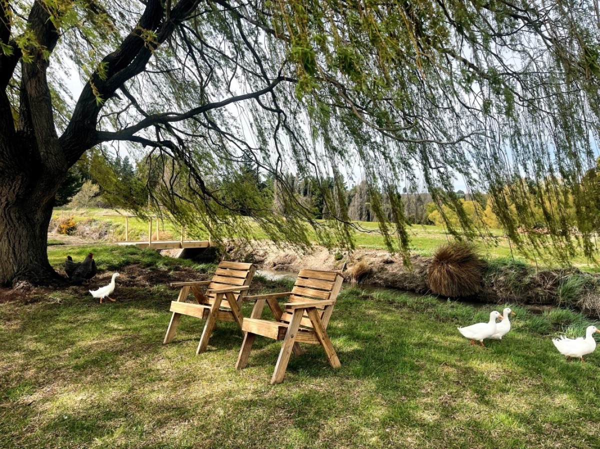 Rural Farmstay, Central Otago photo 4