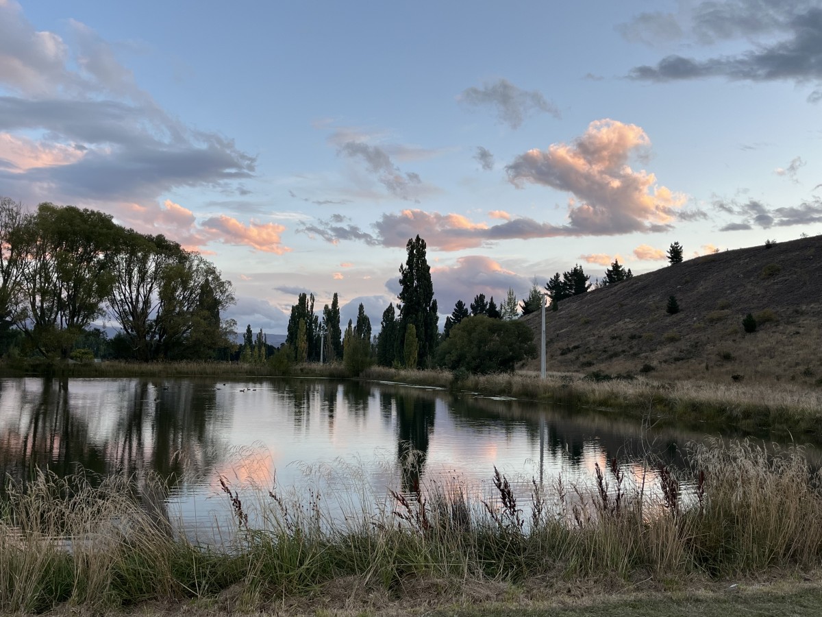 Rural Farmstay, Central Otago photo 5