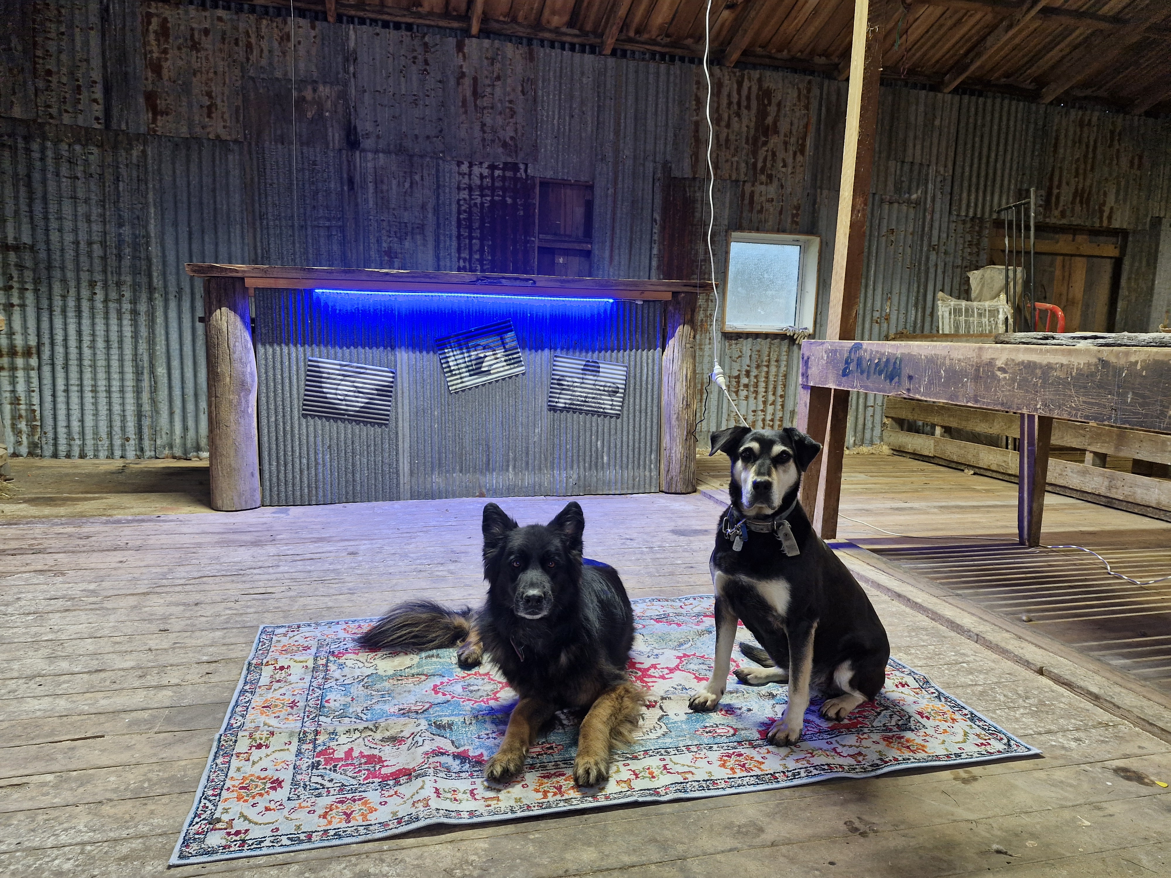 Authentic farm stay photo 4
