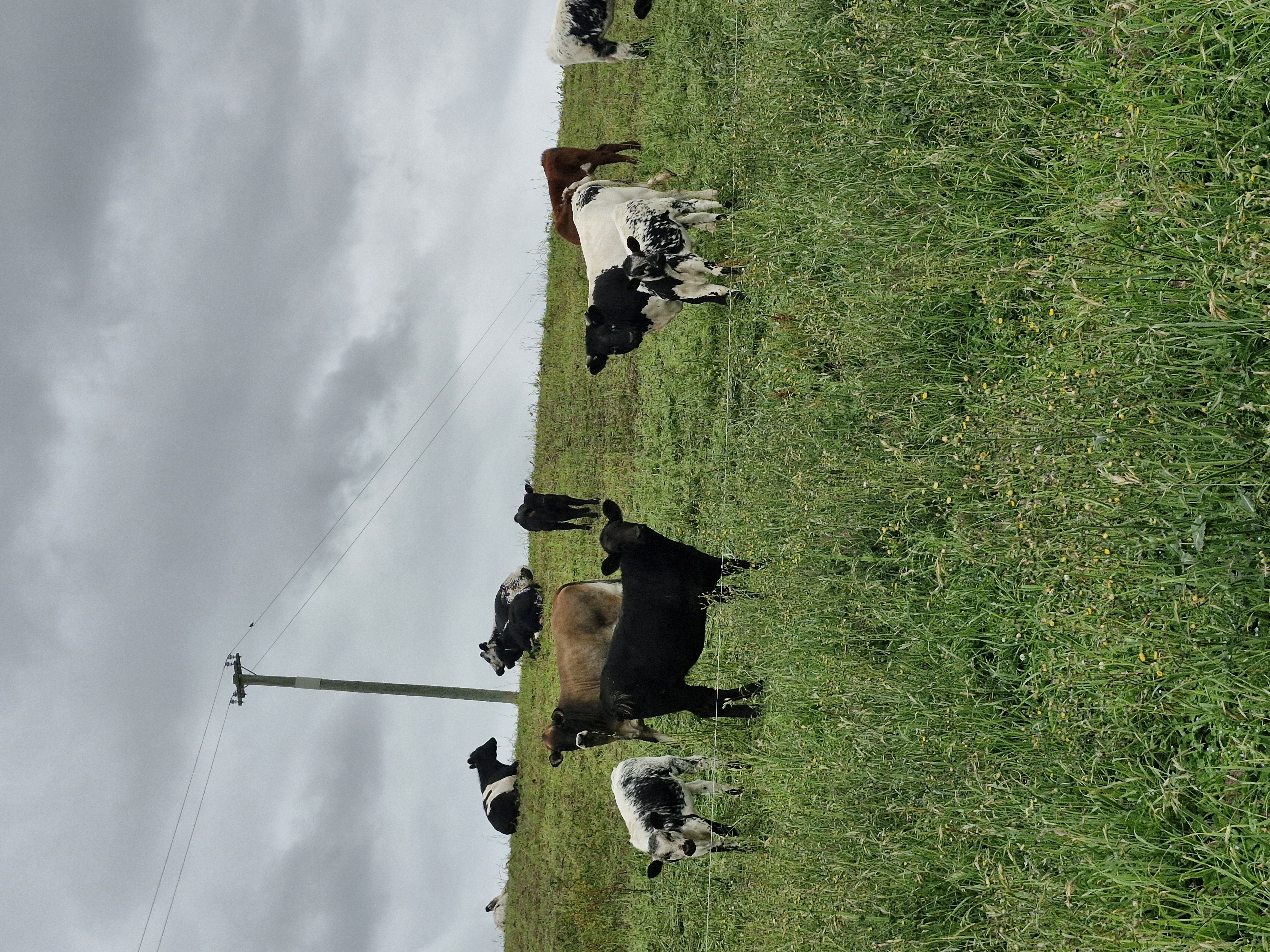 Authentic farm stay photo 5
