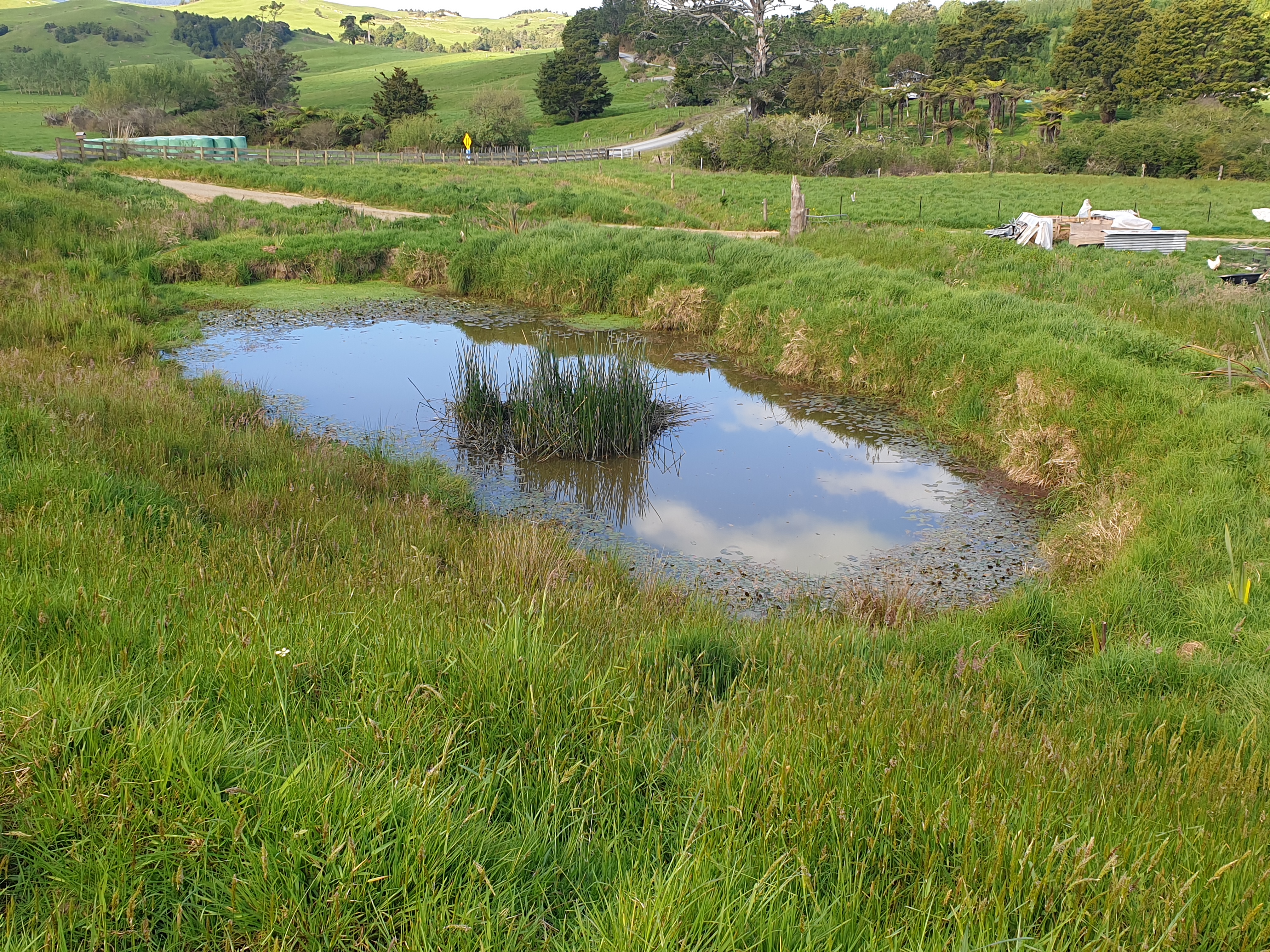 Rural lifestyle block in Maromaku photo 3