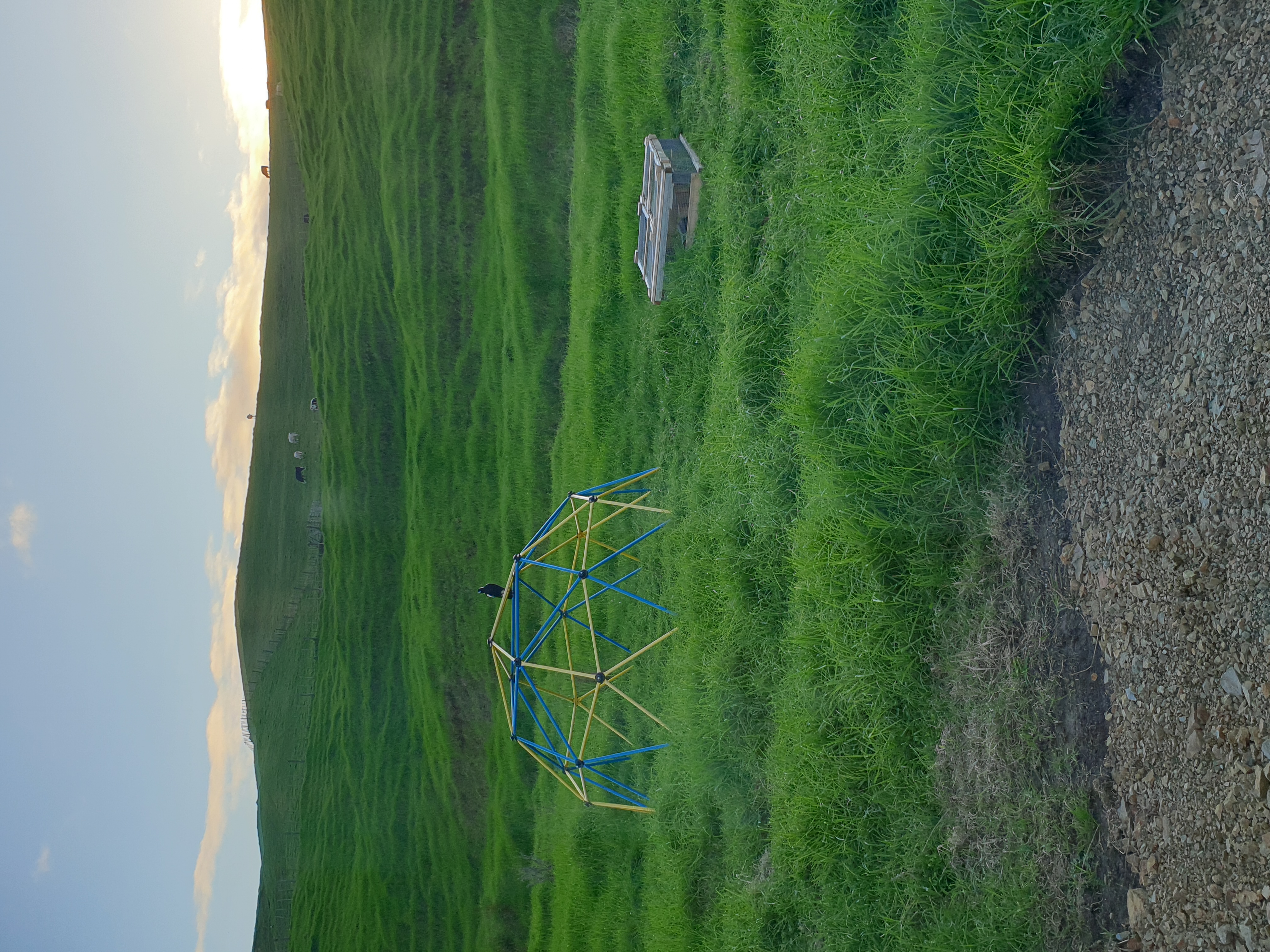 Rural lifestyle block in Maromaku photo 4