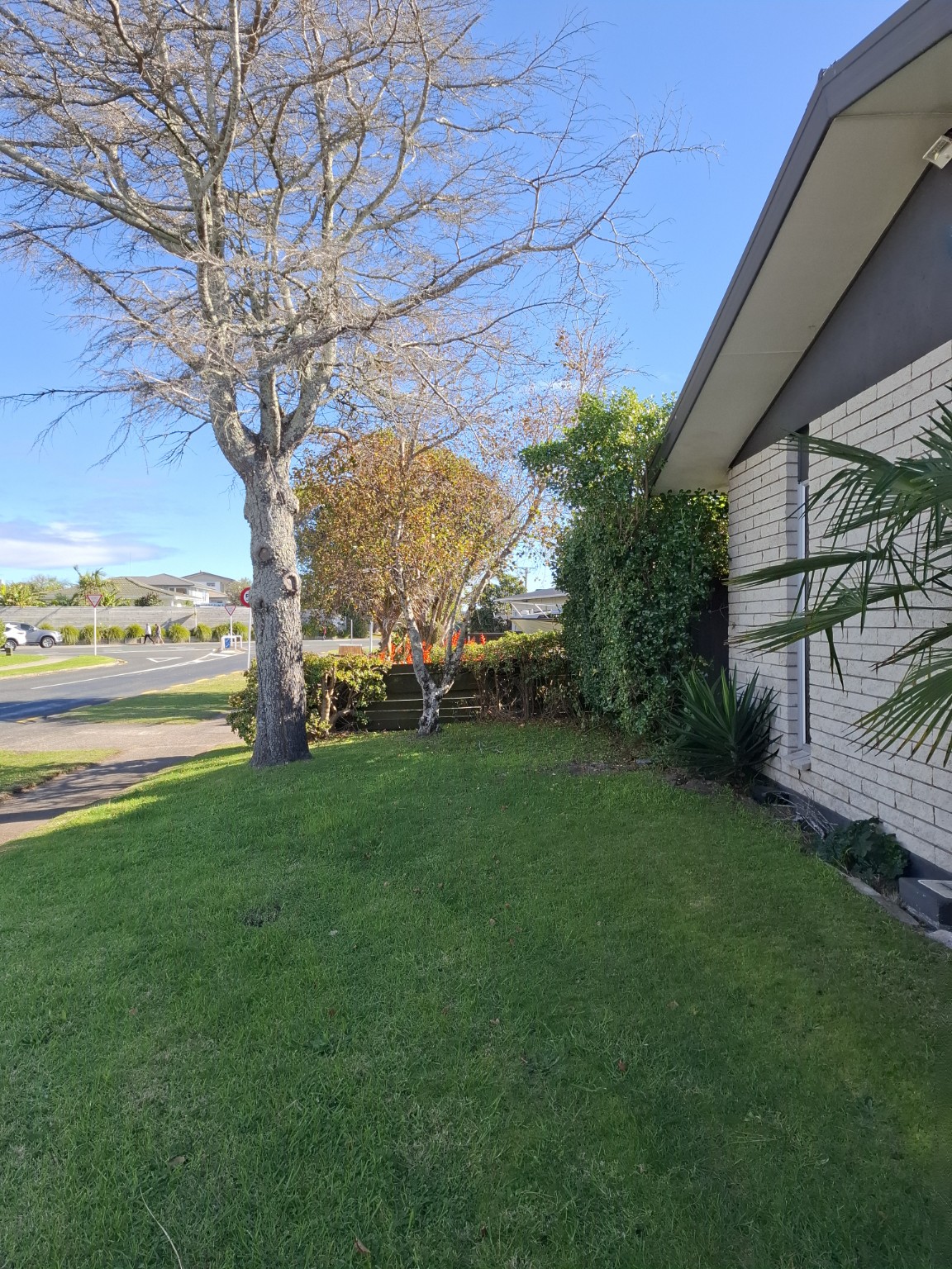 Van park-up, 2-minute walk to beach, surf club & Plaza, with rustic outside room photo 1