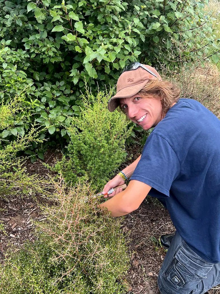 Volunteer planting morning