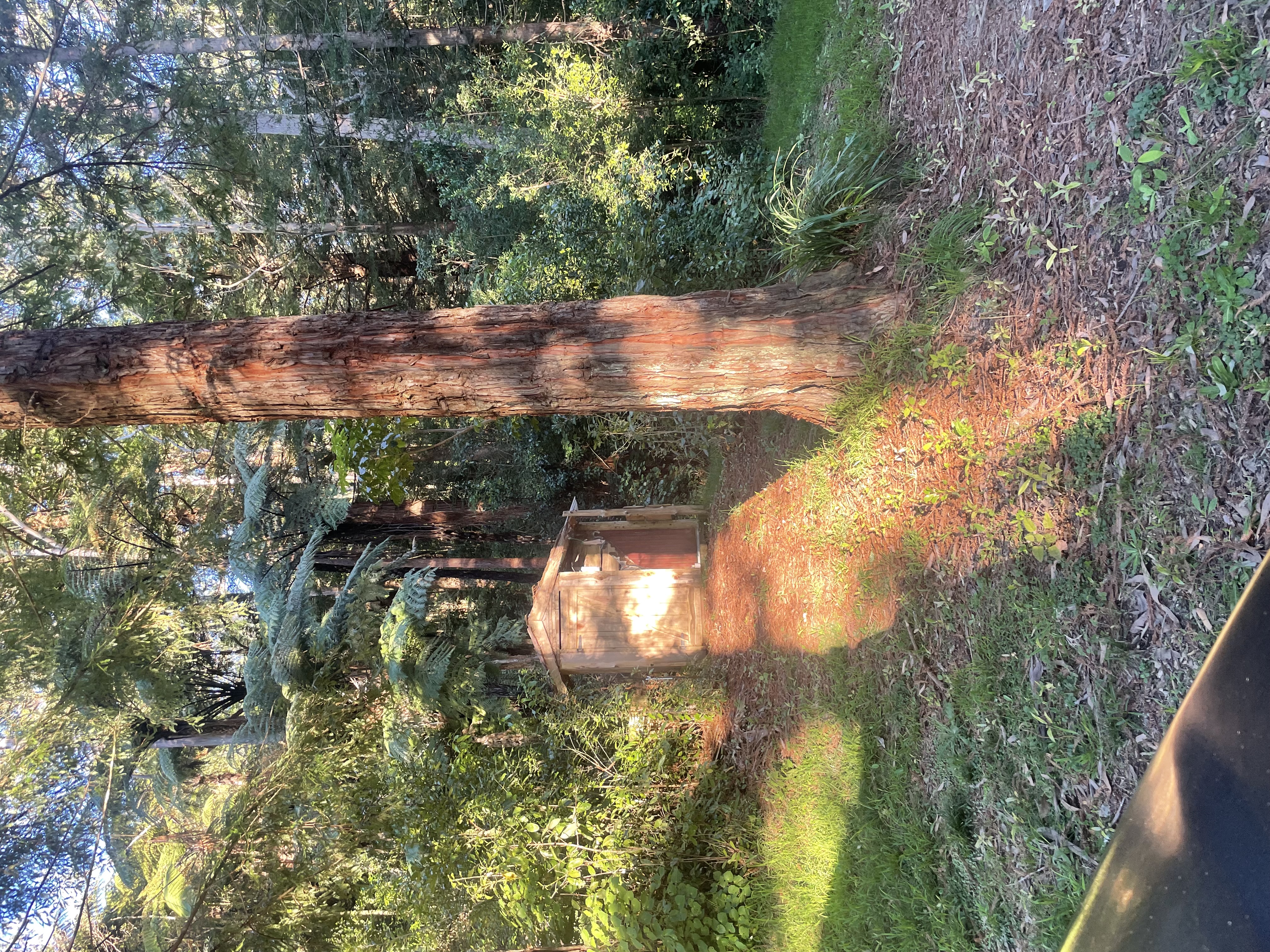 Quite Bay of Plenty Lifestyle bush block photo 2