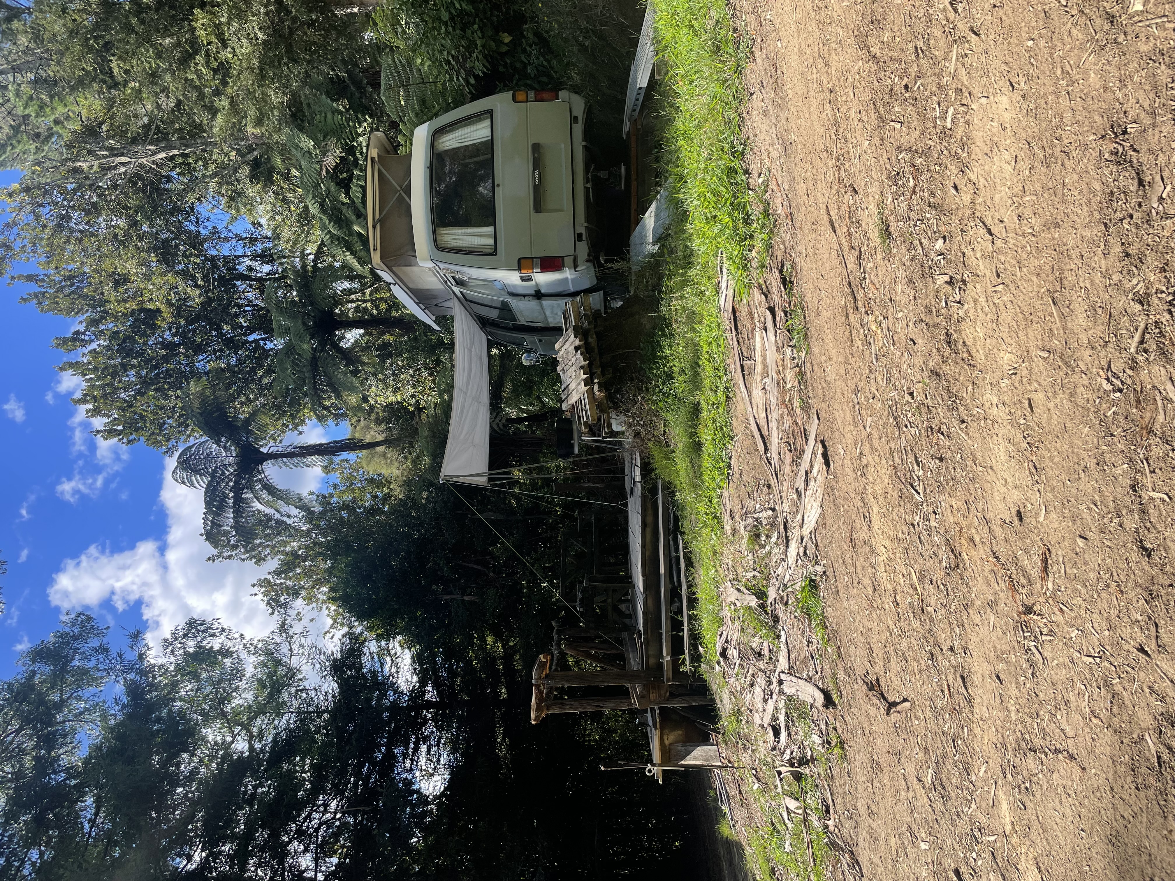 Quite Bay of Plenty Lifestyle bush block photo 3