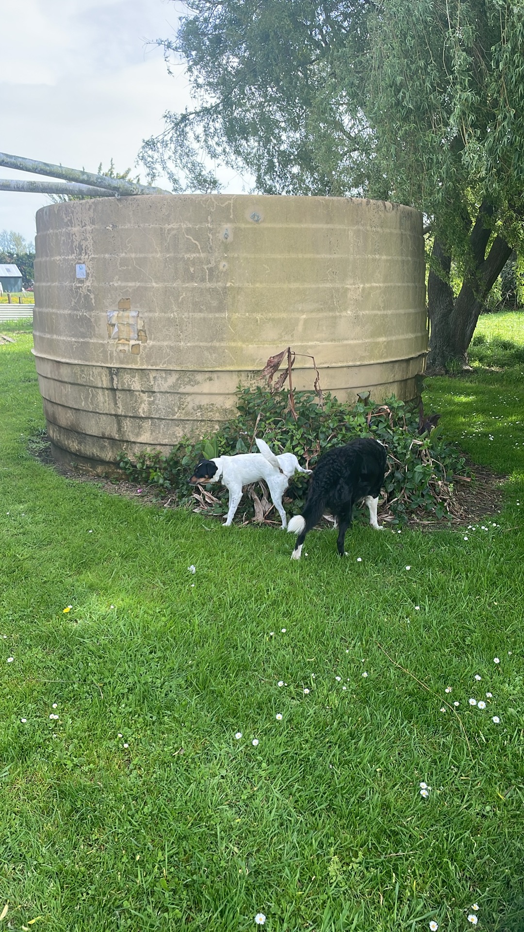 Foxton park up photo 3