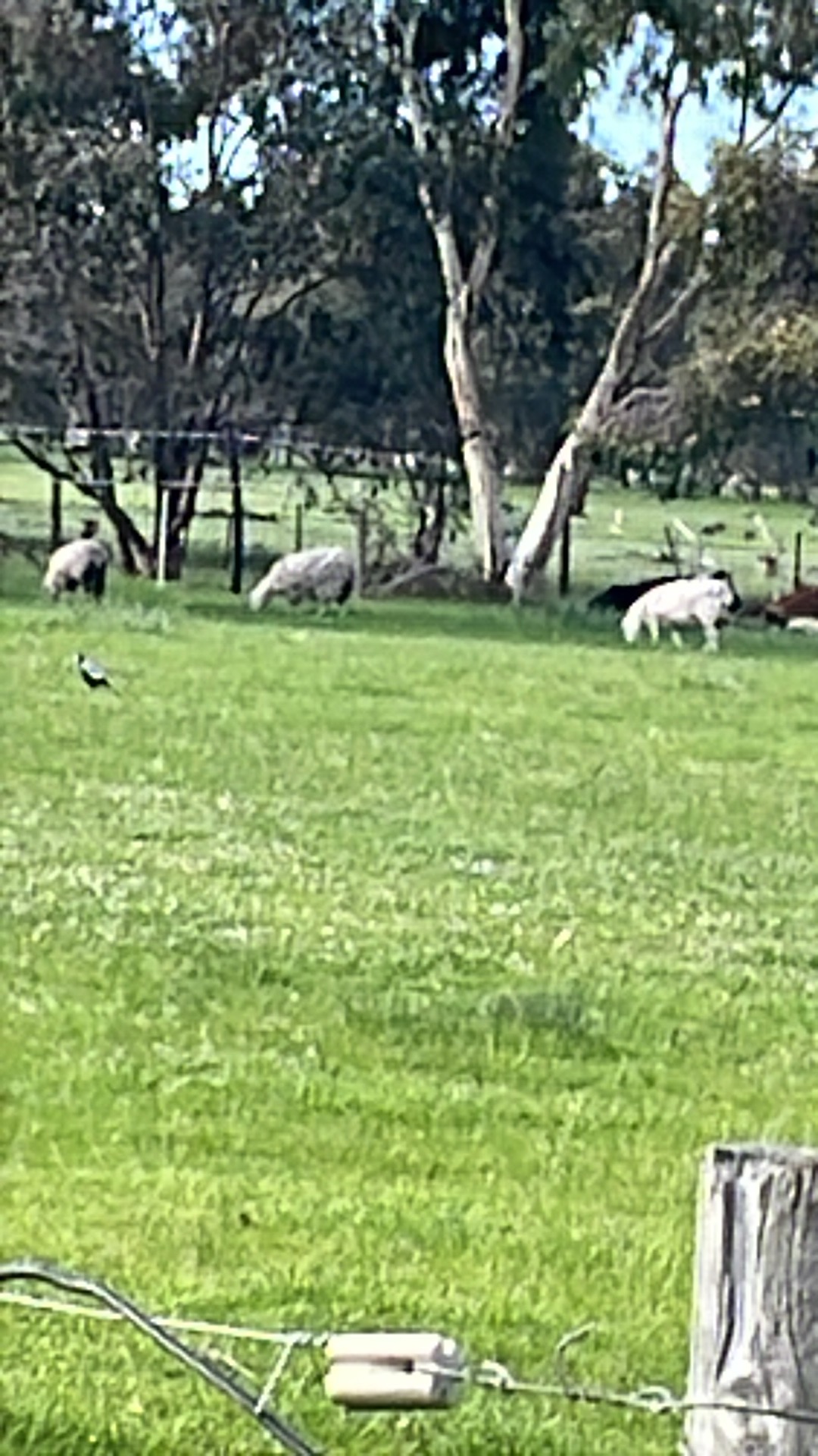 Foxton park up photo 4
