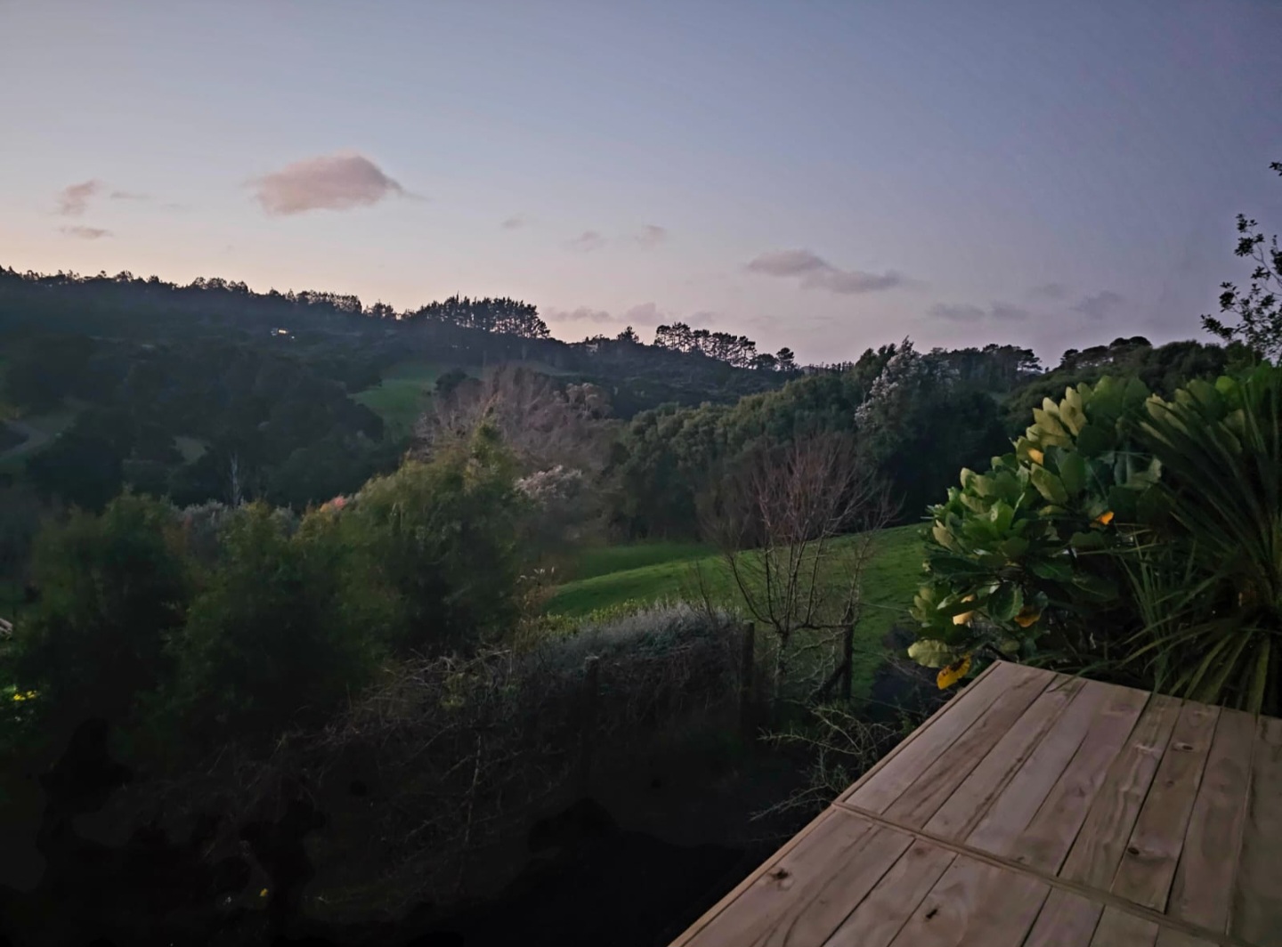 Quiet Waimauku Hideaway photo 1