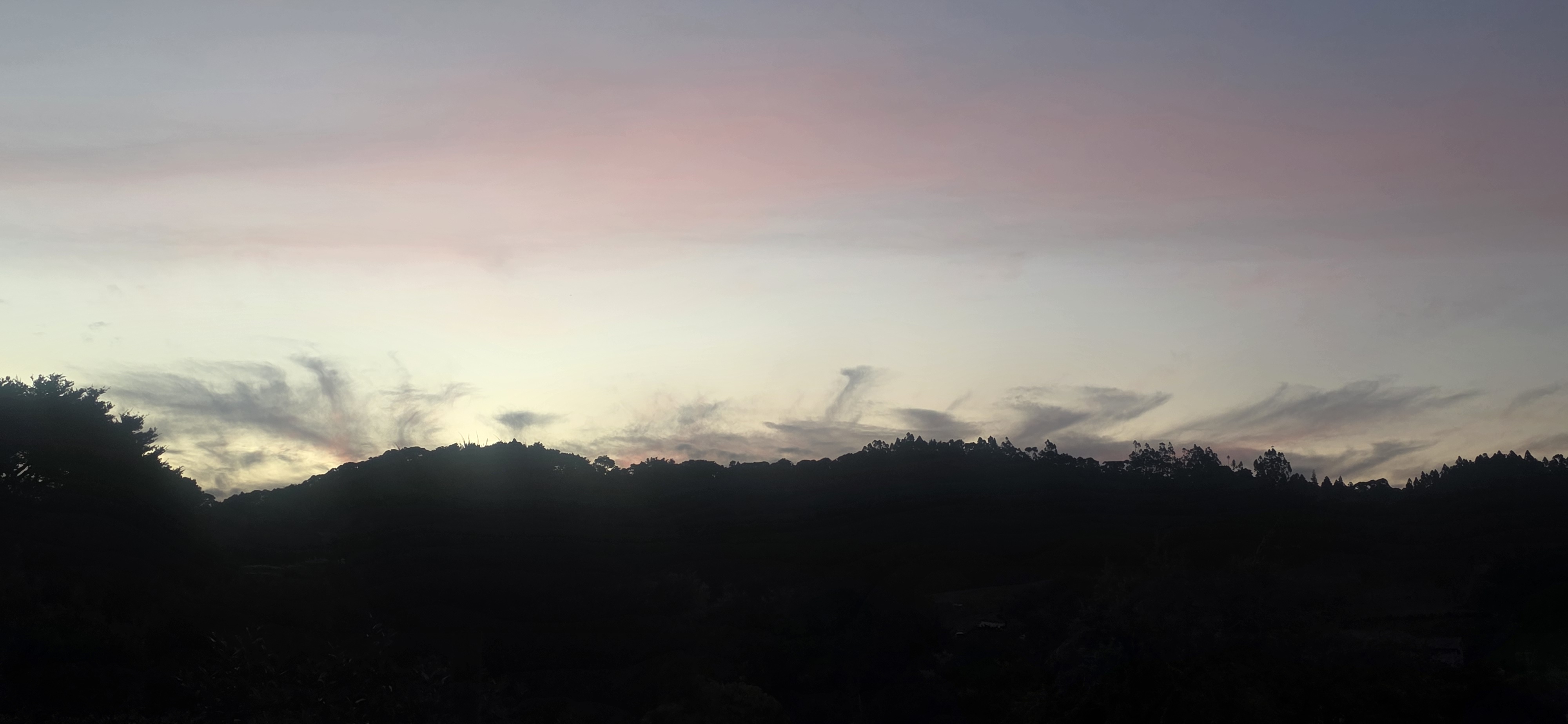 Quiet Waimauku Hideaway photo 2