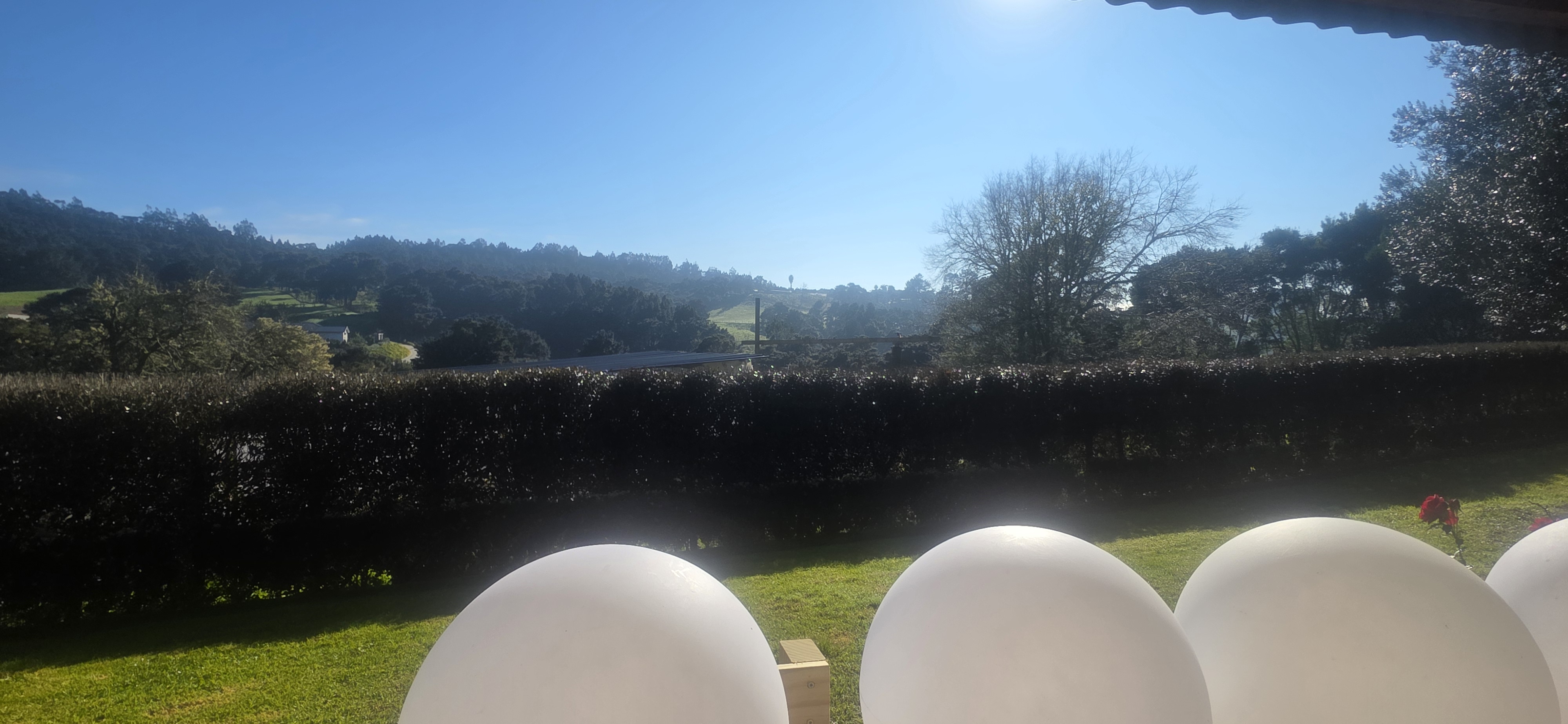 Quiet Waimauku Hideaway photo 3