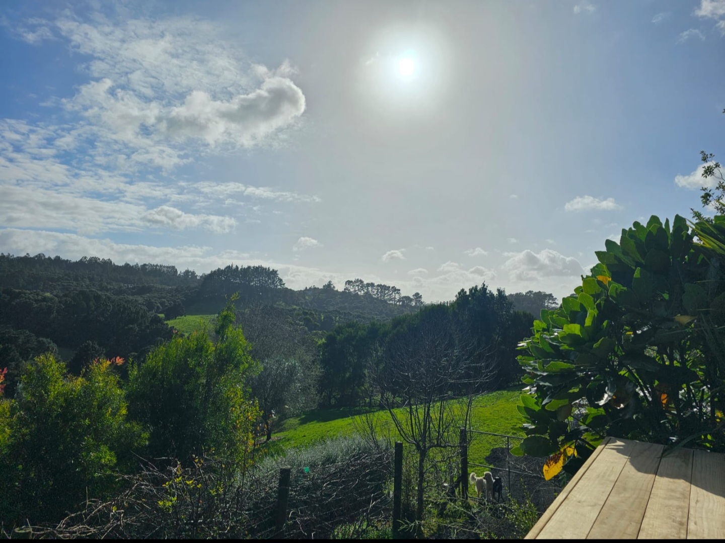 Quiet Waimauku Hideaway photo 4
