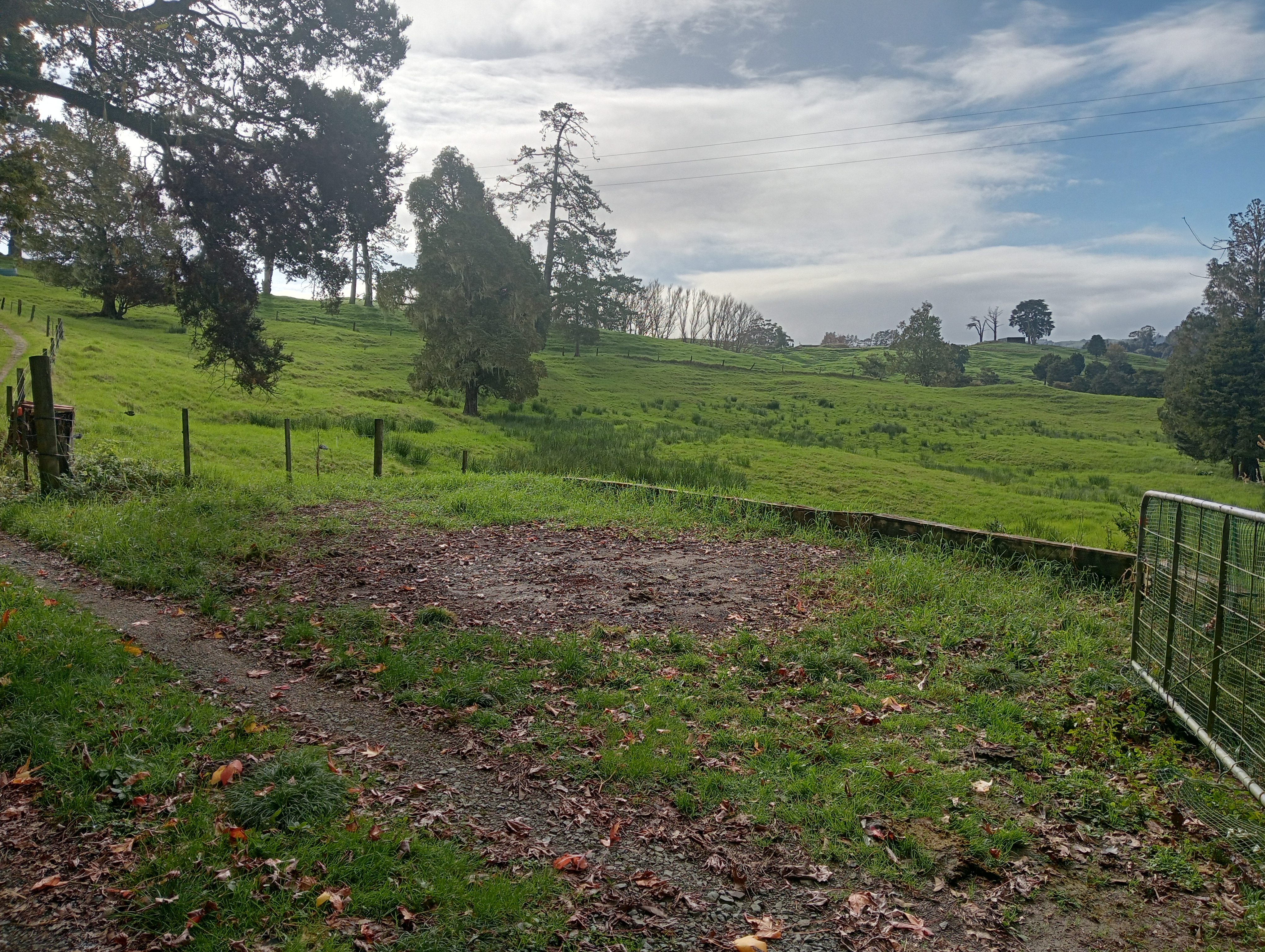 Quiet Paddock off HW1 Far North