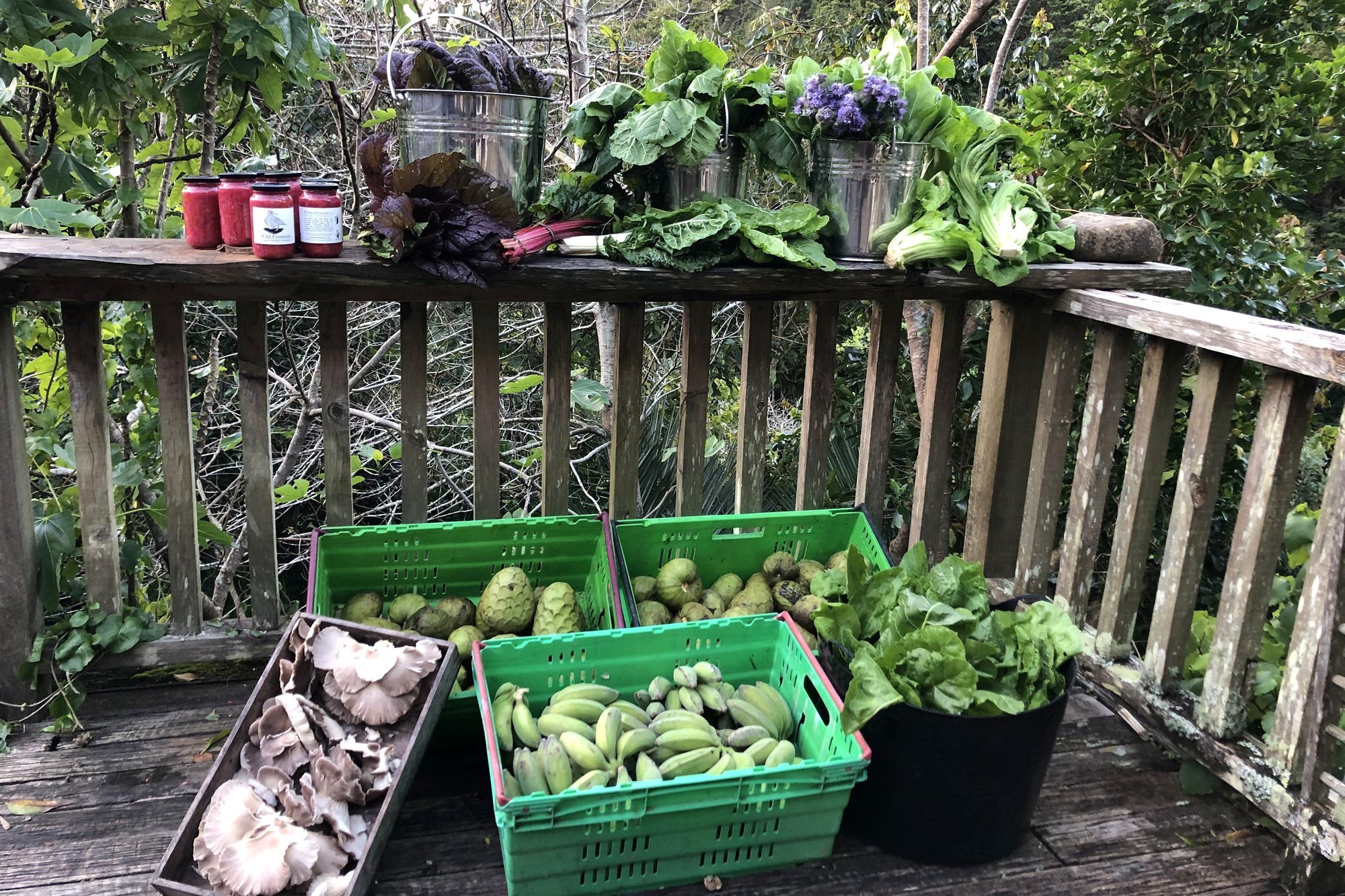 WWOOF with PermaDynamics photo 3