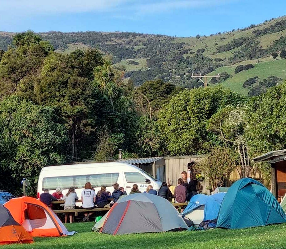 Little River Campground and Manaia Native Habitat photo 2
