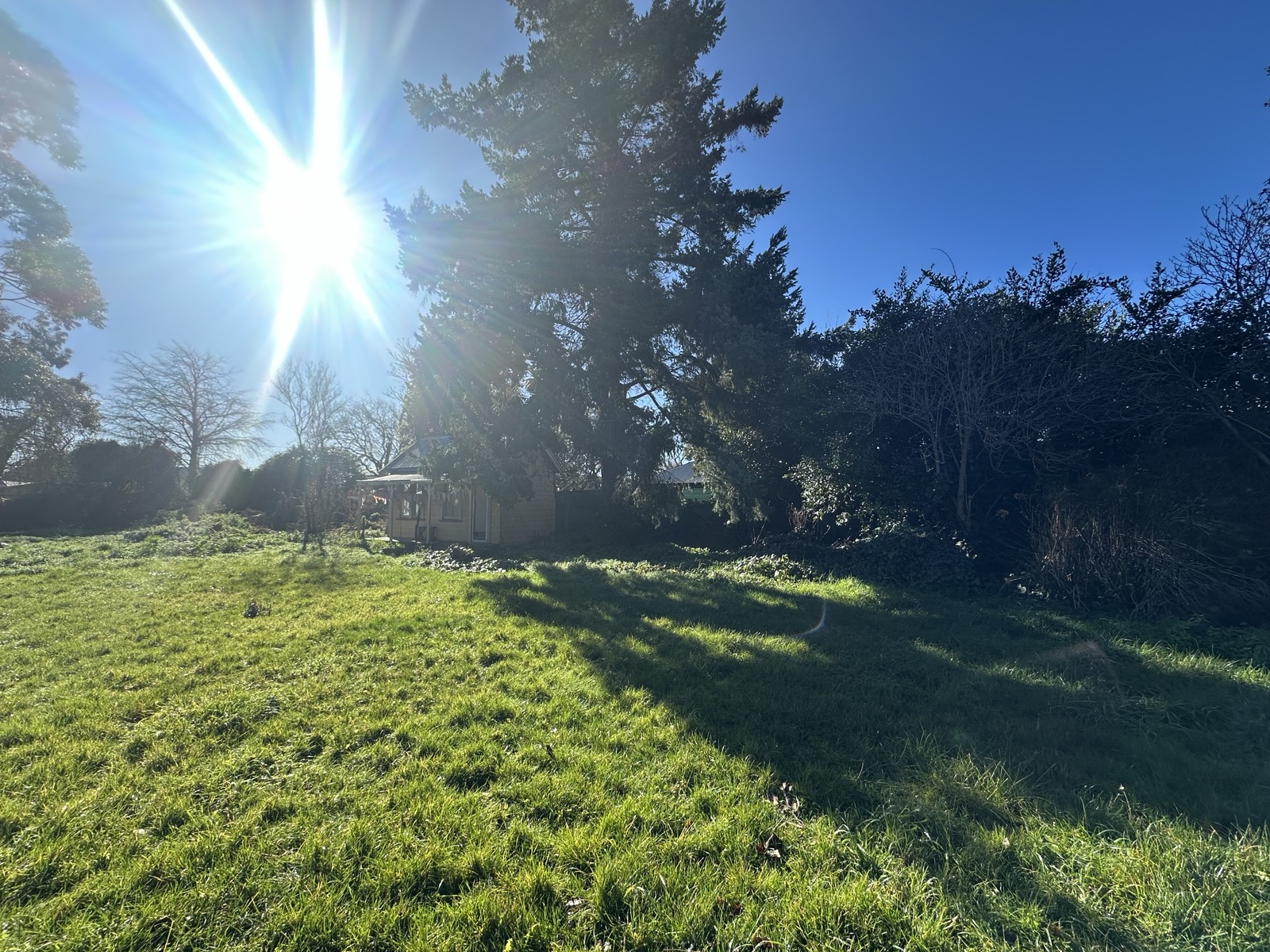 Inner City Sanctuary photo 4