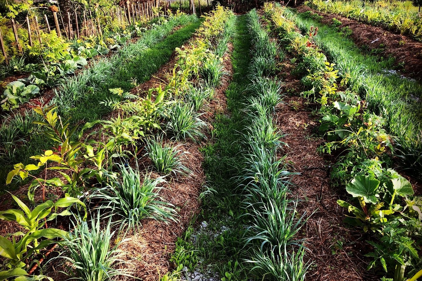 WWOOF with PermaDynamics photo 1