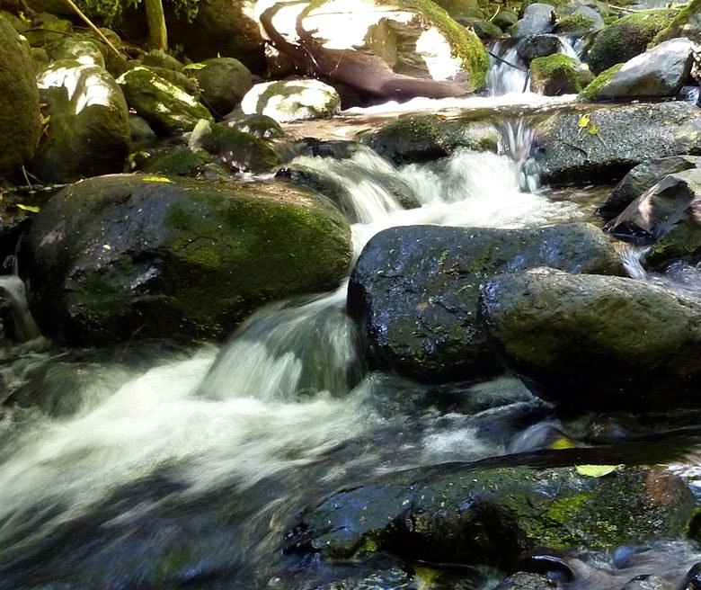 Unpowered van site, Little River photo 4
