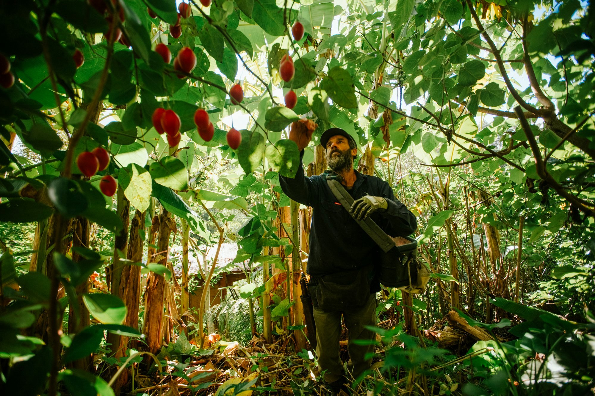WWOOF with PermaDynamics photo 5
