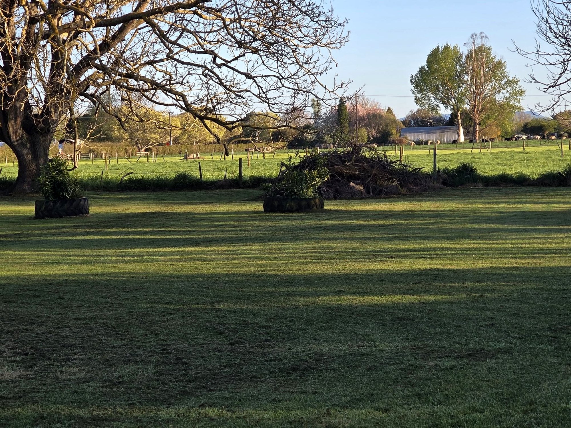 Park over at Bargh Farm, Eureka photo 3