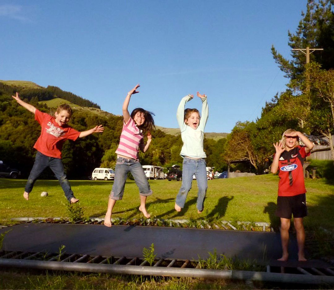 Little River Campground and Manaia Native Habitat photo 4