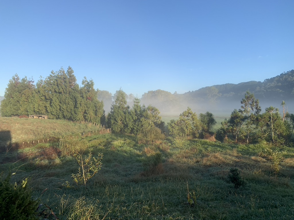 Serene Coromandel Paradise photo 3