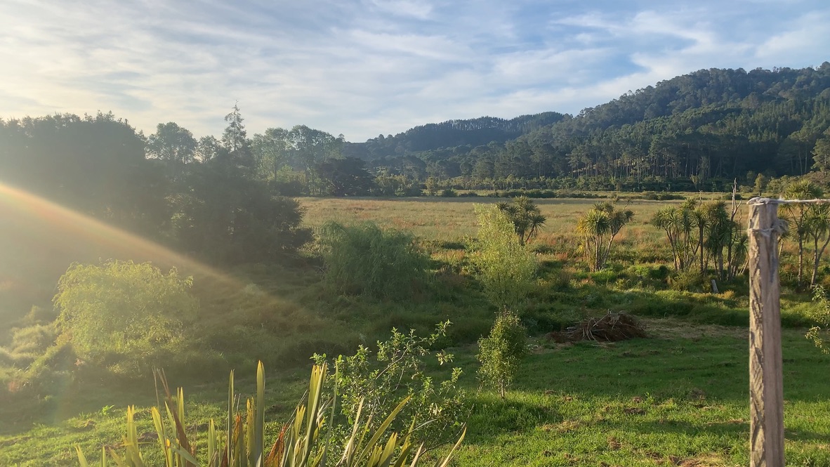 Serene Coromandel Paradise photo 4