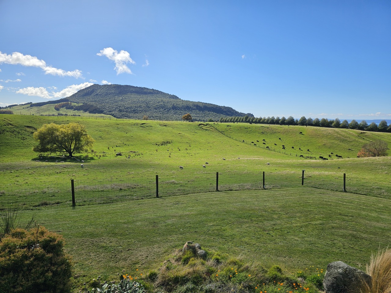Panoramic Lake Taupo, Mountian Views & activities photo 3