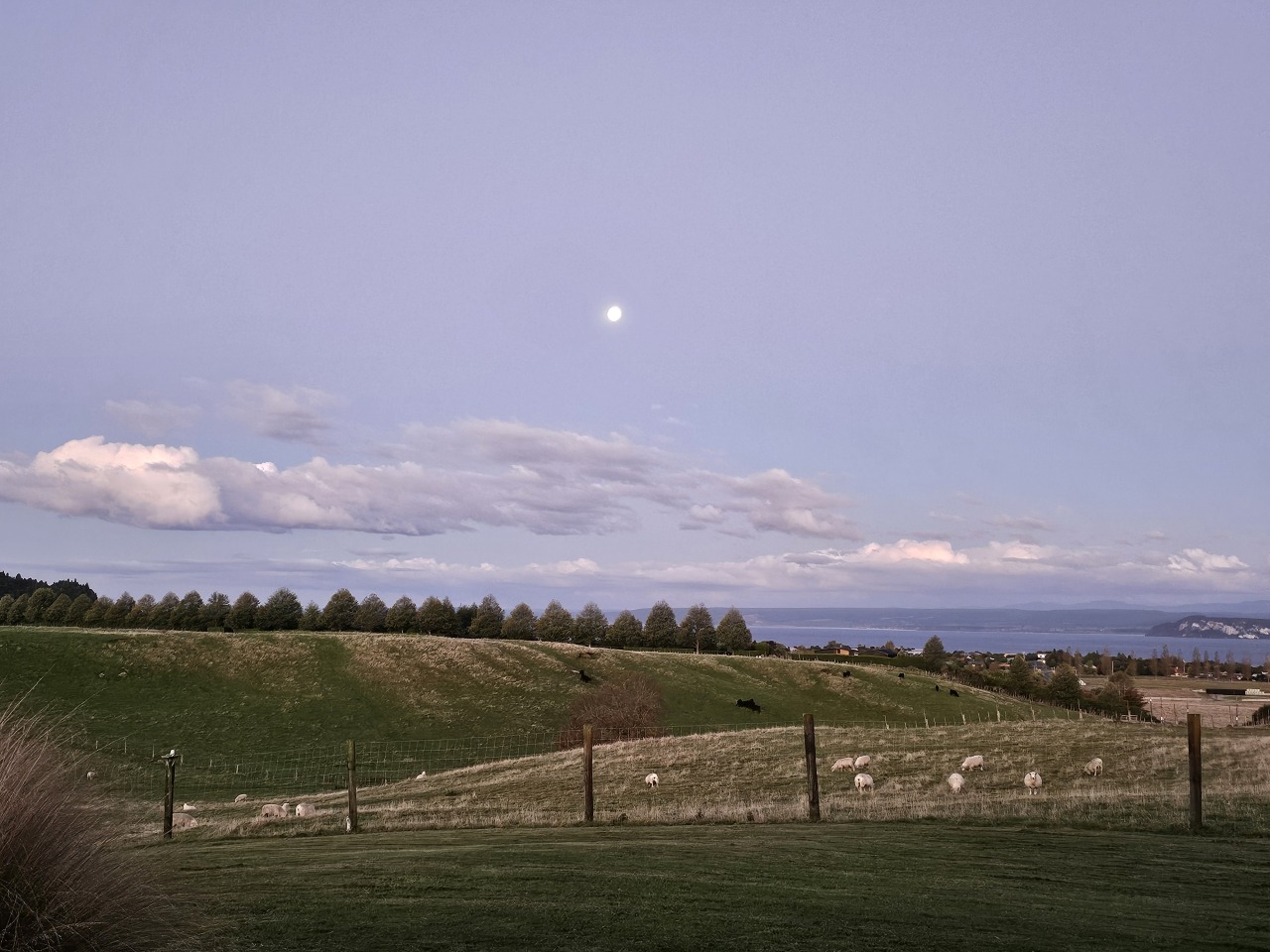 Panoramic Lake Taupo, Mountian Views & activities photo 4