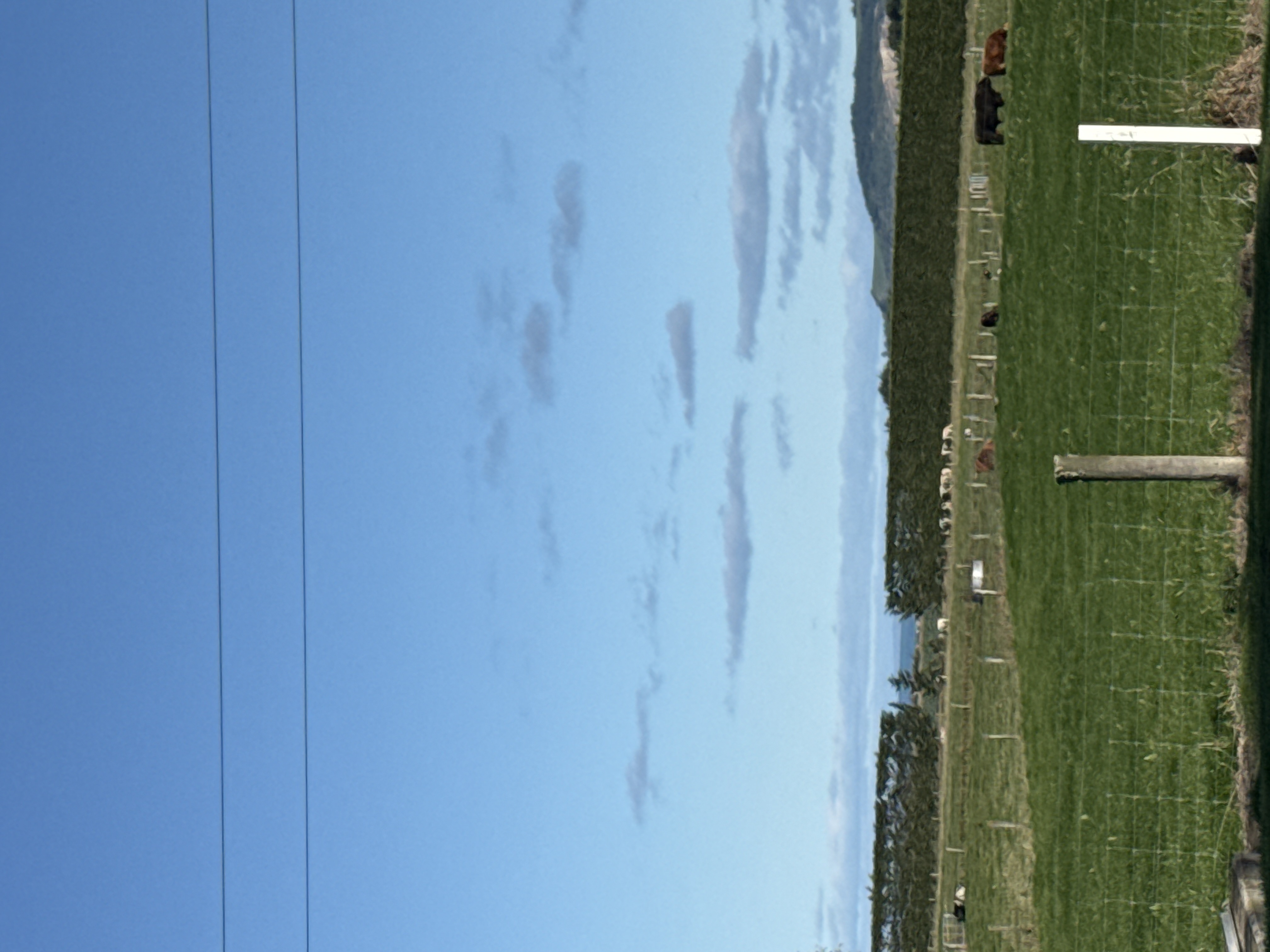 Oamaru North behind the hedge! photo 3