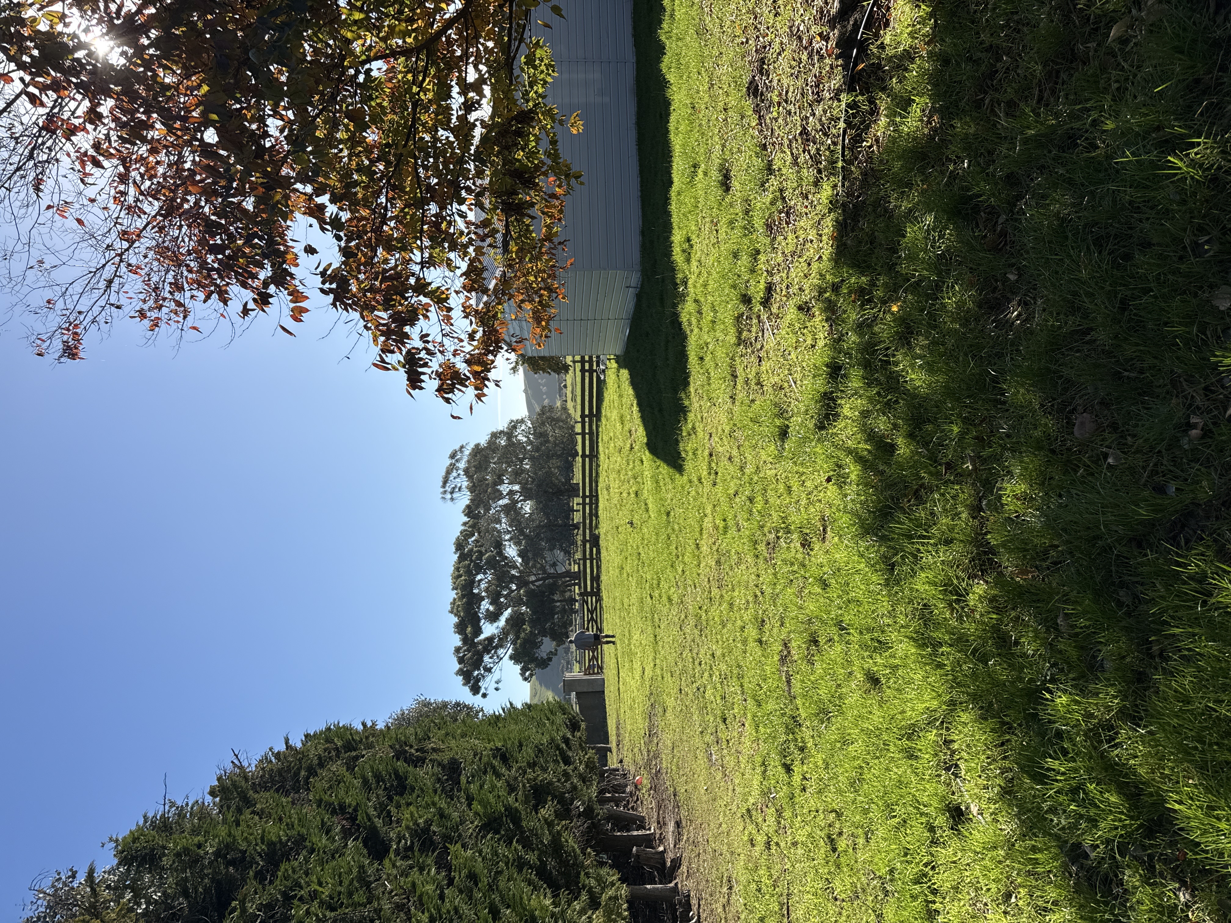 Oamaru North behind the hedge! photo 4