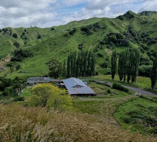 South Taranaki haven photo 1