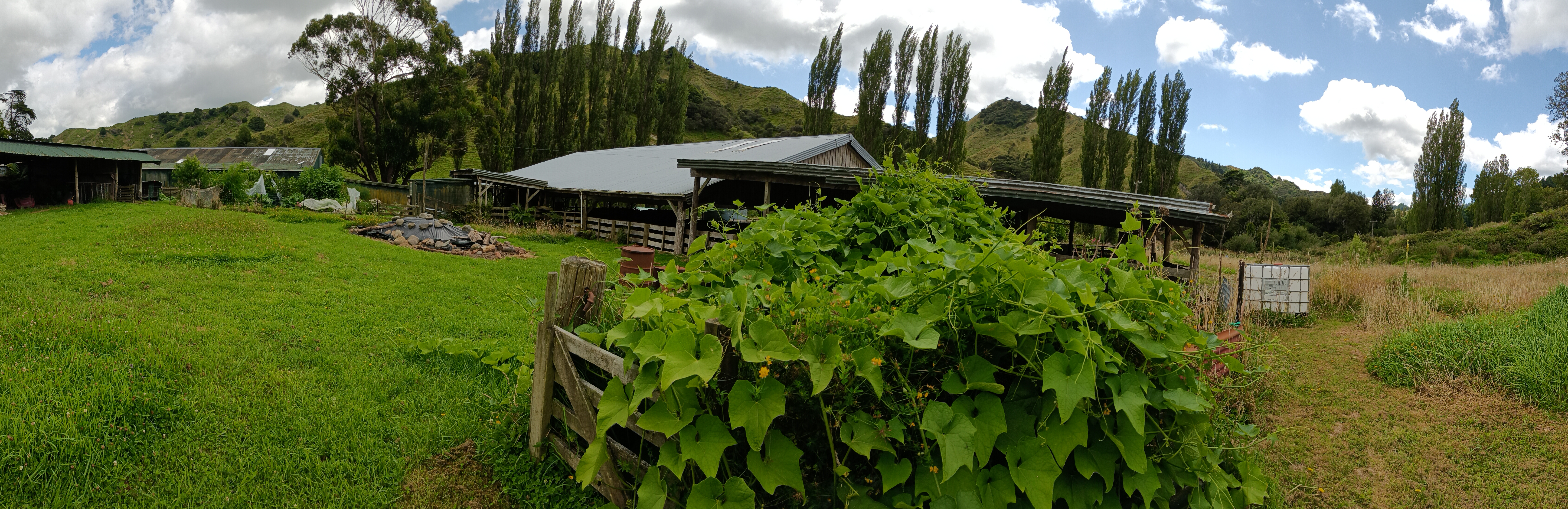 South Taranaki haven photo 2