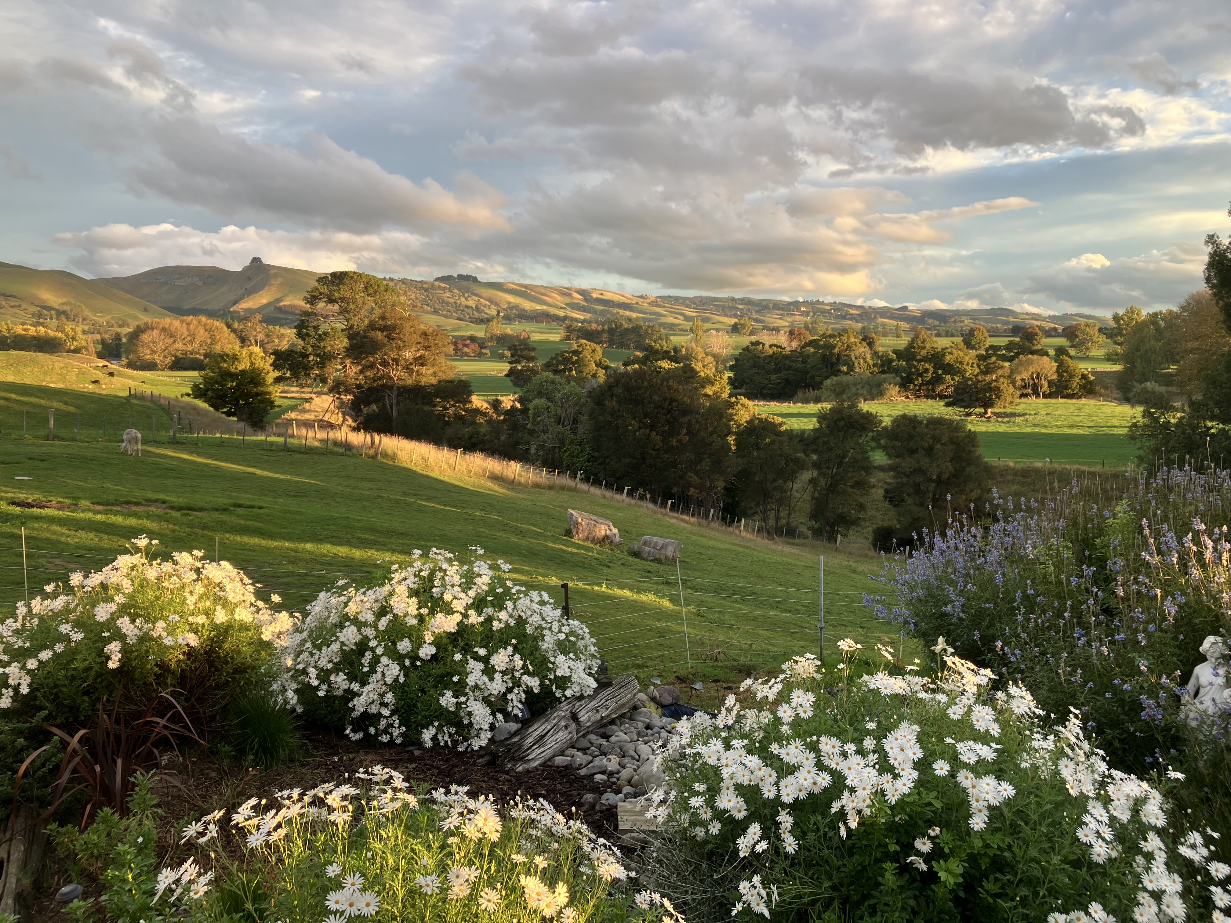 Gladstone Wairarapa photo 1