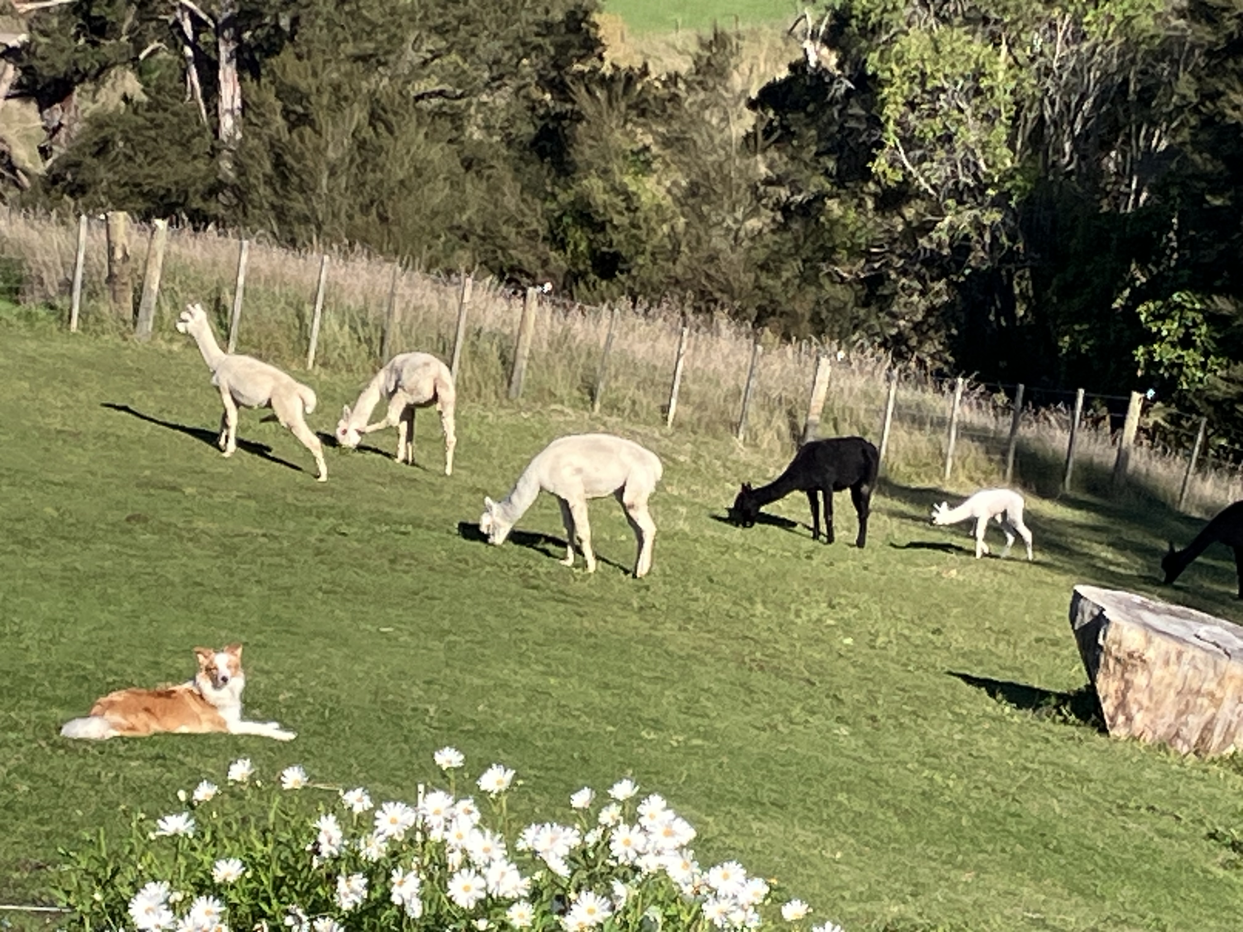 Gladstone Wairarapa photo 2