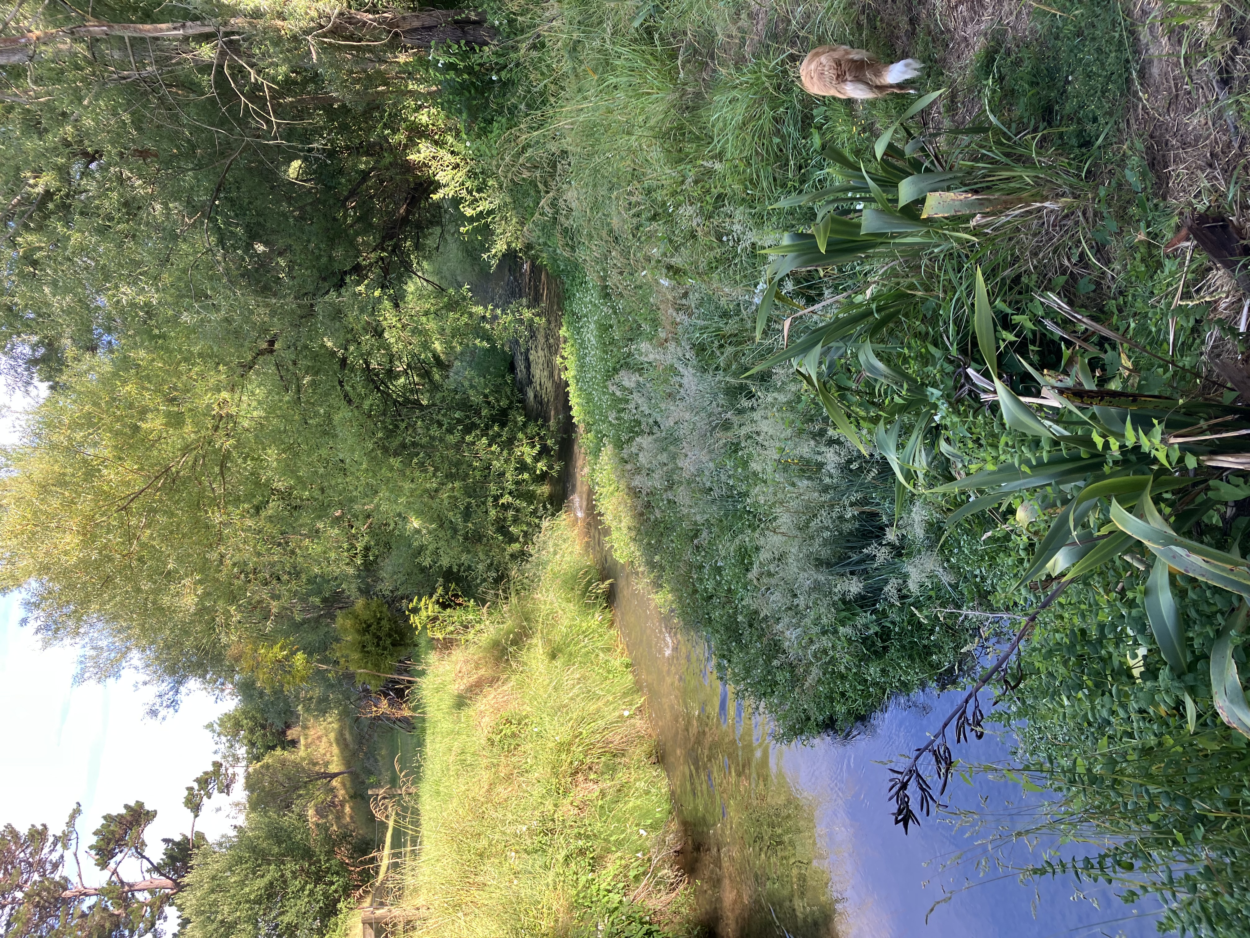 Gladstone Wairarapa photo 3