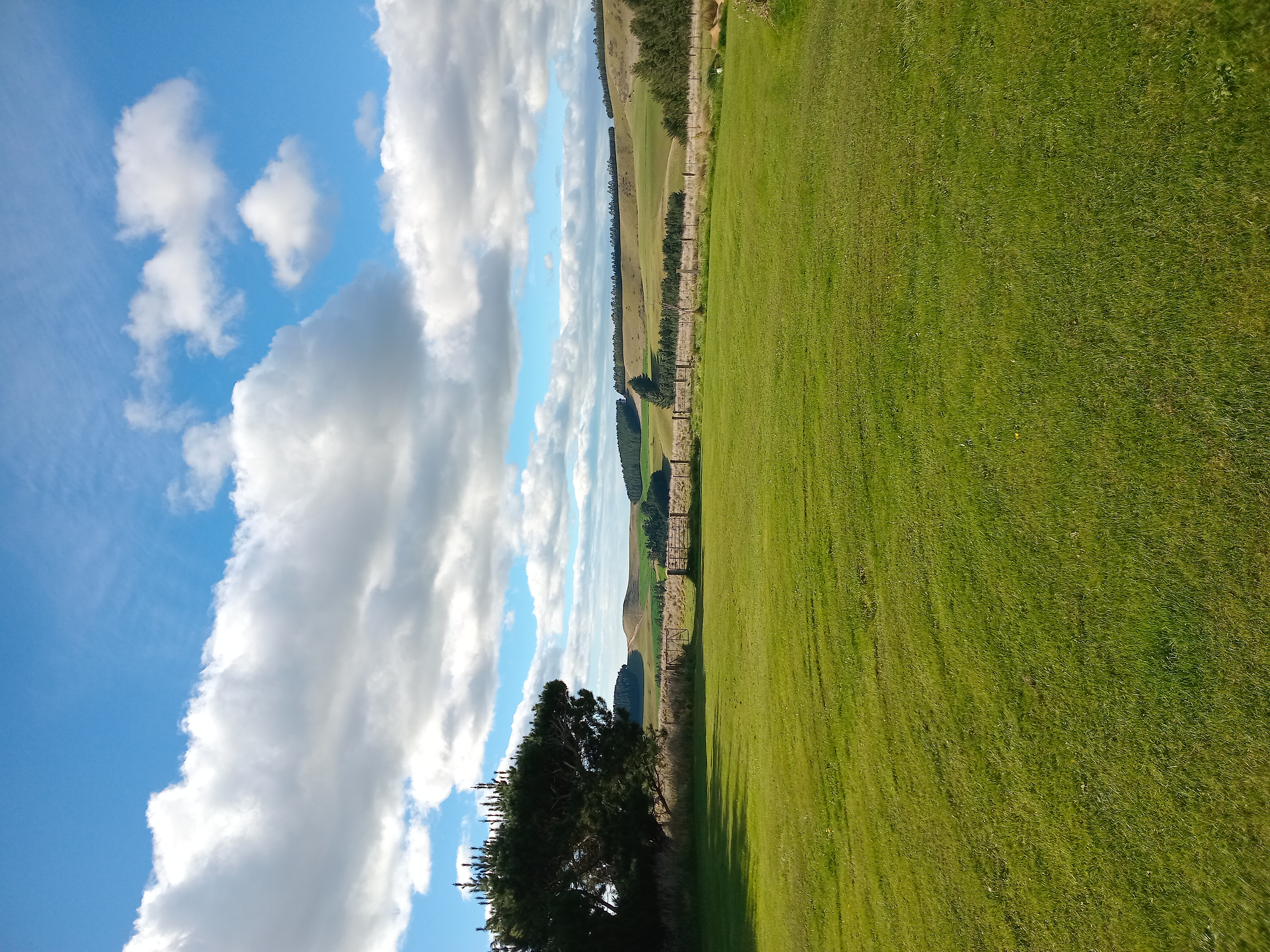 Paddock in Livingstone