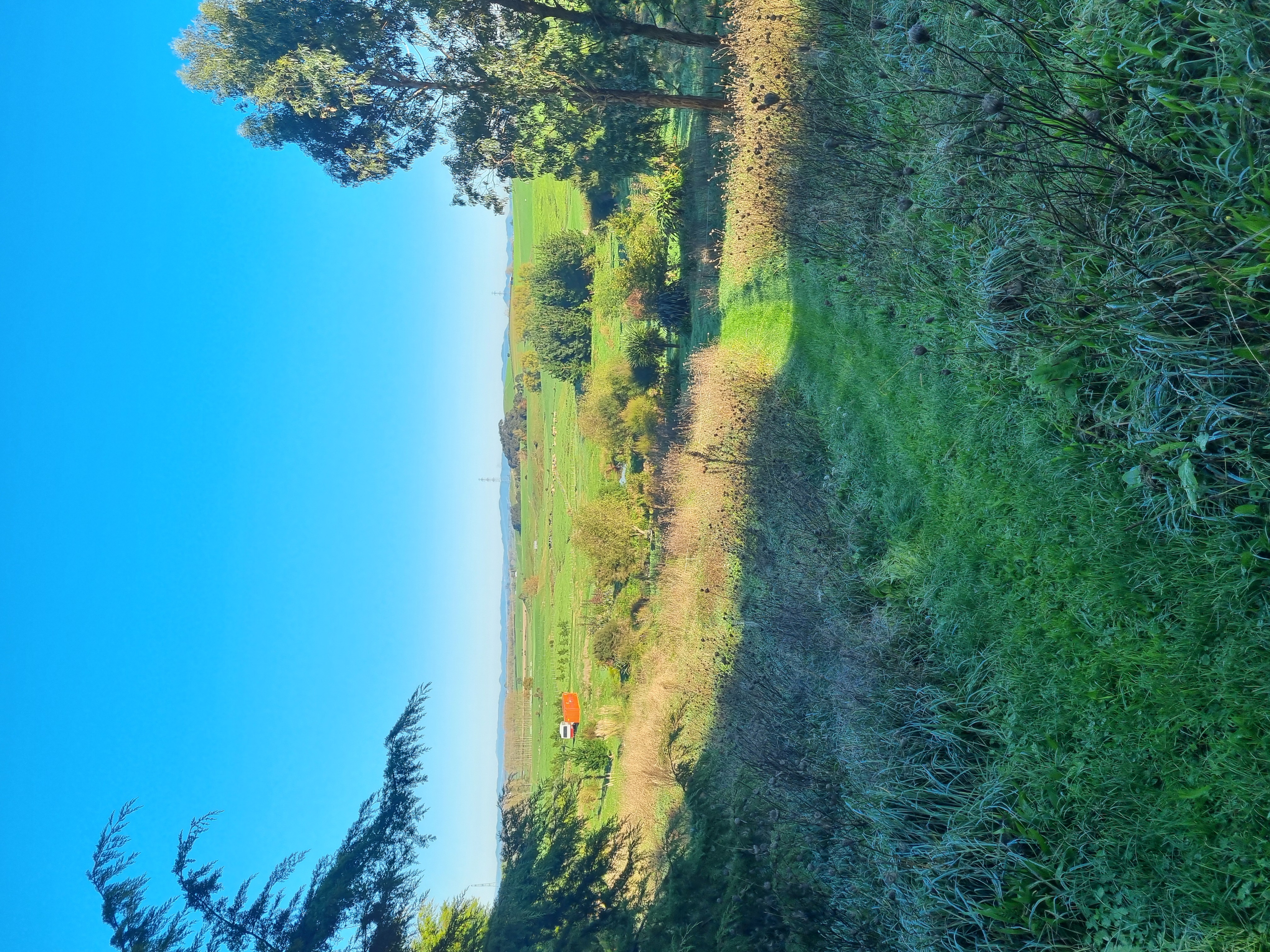 Quiet and great sunsets photo 3